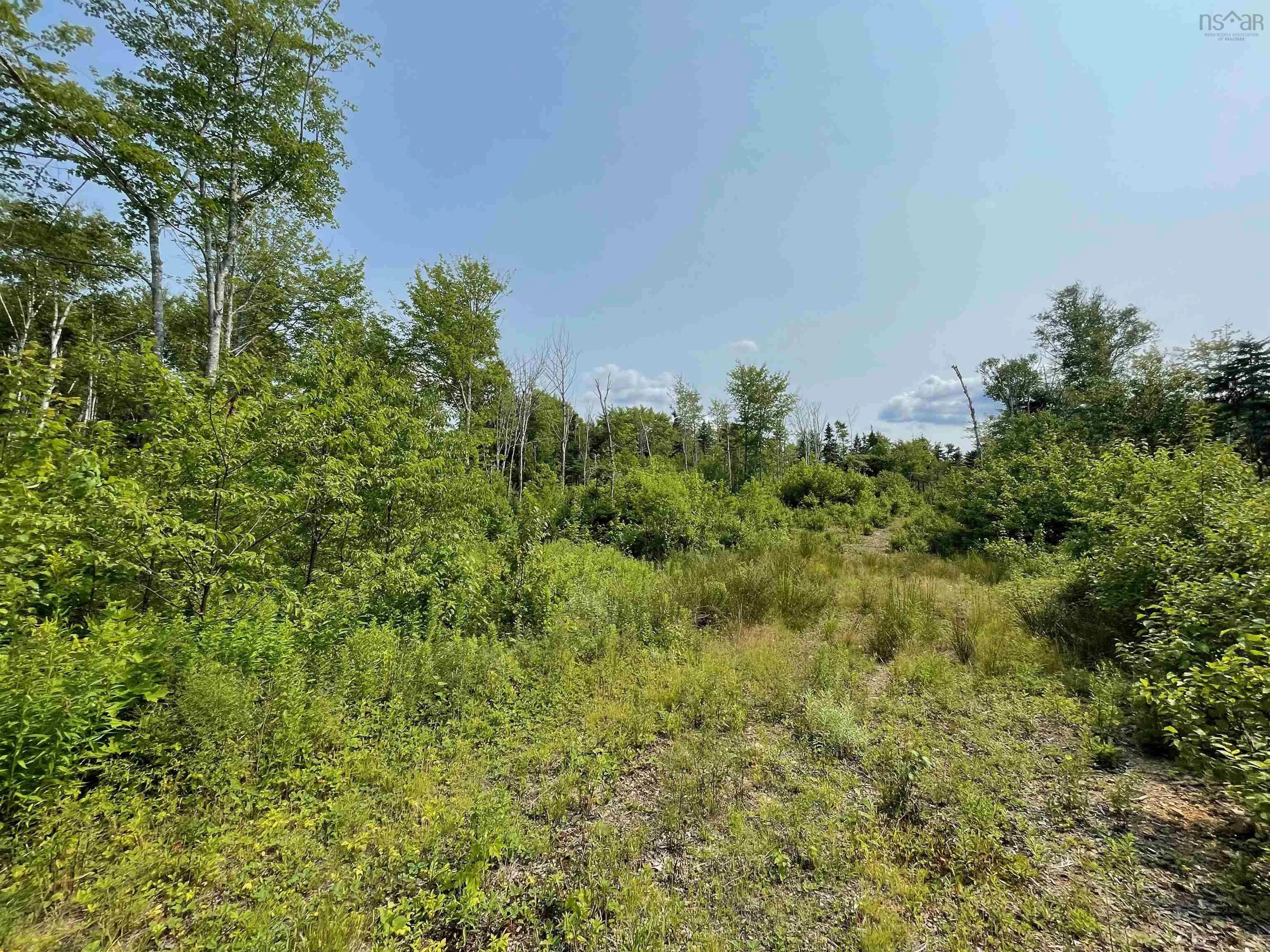 0 Kempt Head Road, Boularderie Centre, NS B1X 1L6, ,Land,For Sale,Kempt Head Road,202520177