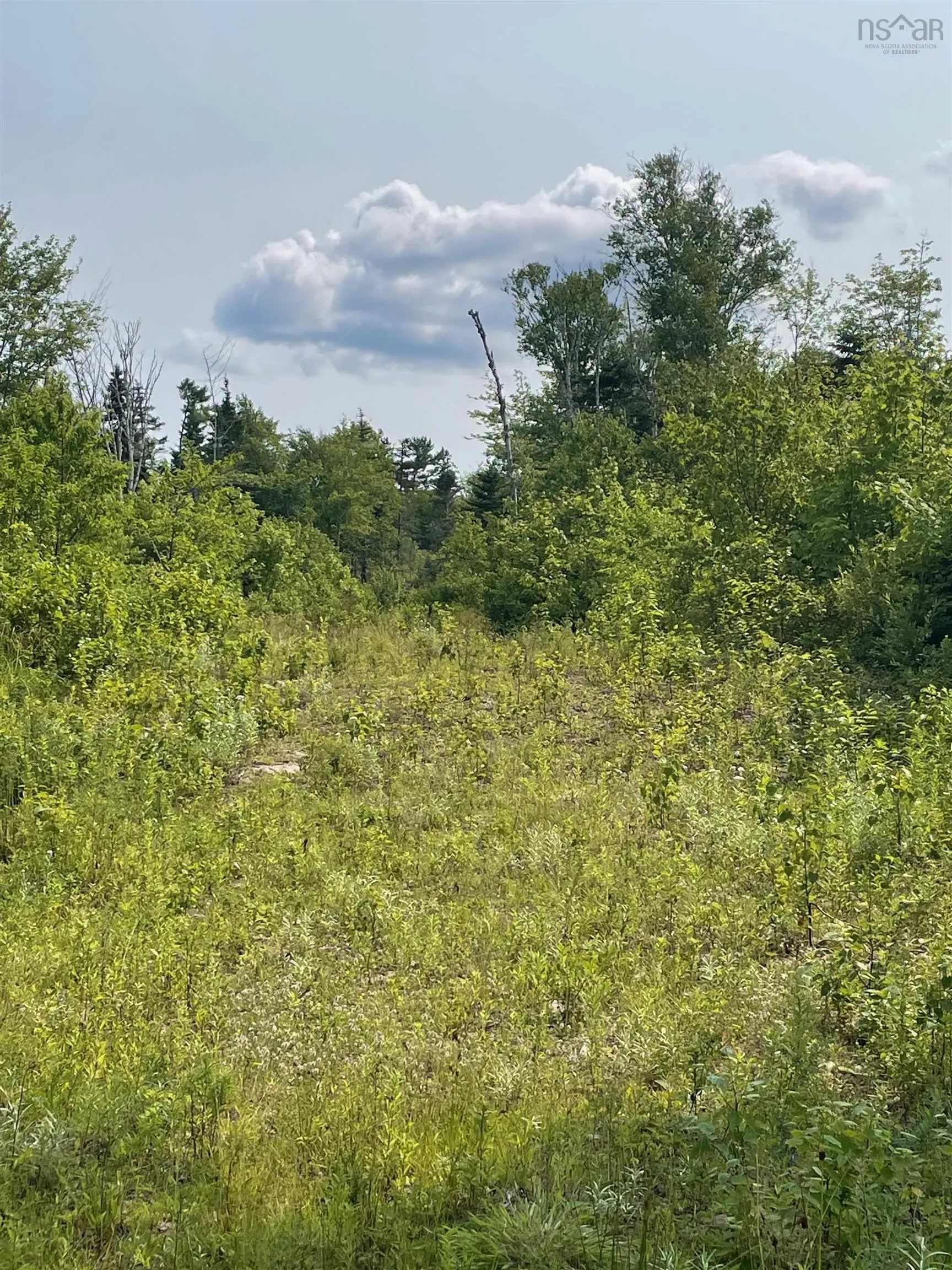0 Kempt Head Road, Boularderie Centre, NS B1X 1L6, ,Land,For Sale,Kempt Head Road,202520177