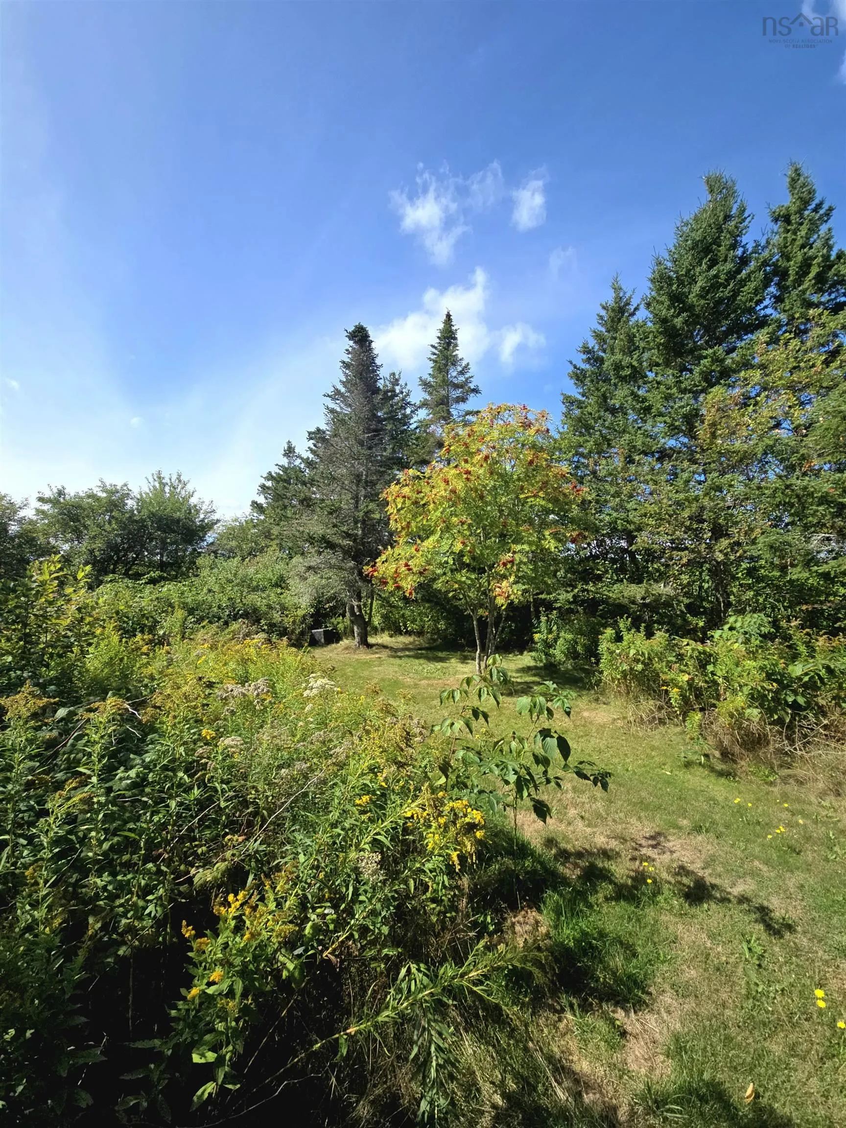 77 Bayfield Road, Afton, NS B0H 1A0, 3 Bedrooms Bedrooms, ,1 BathroomBathrooms,Residential,For Sale,Bayfield,202522978