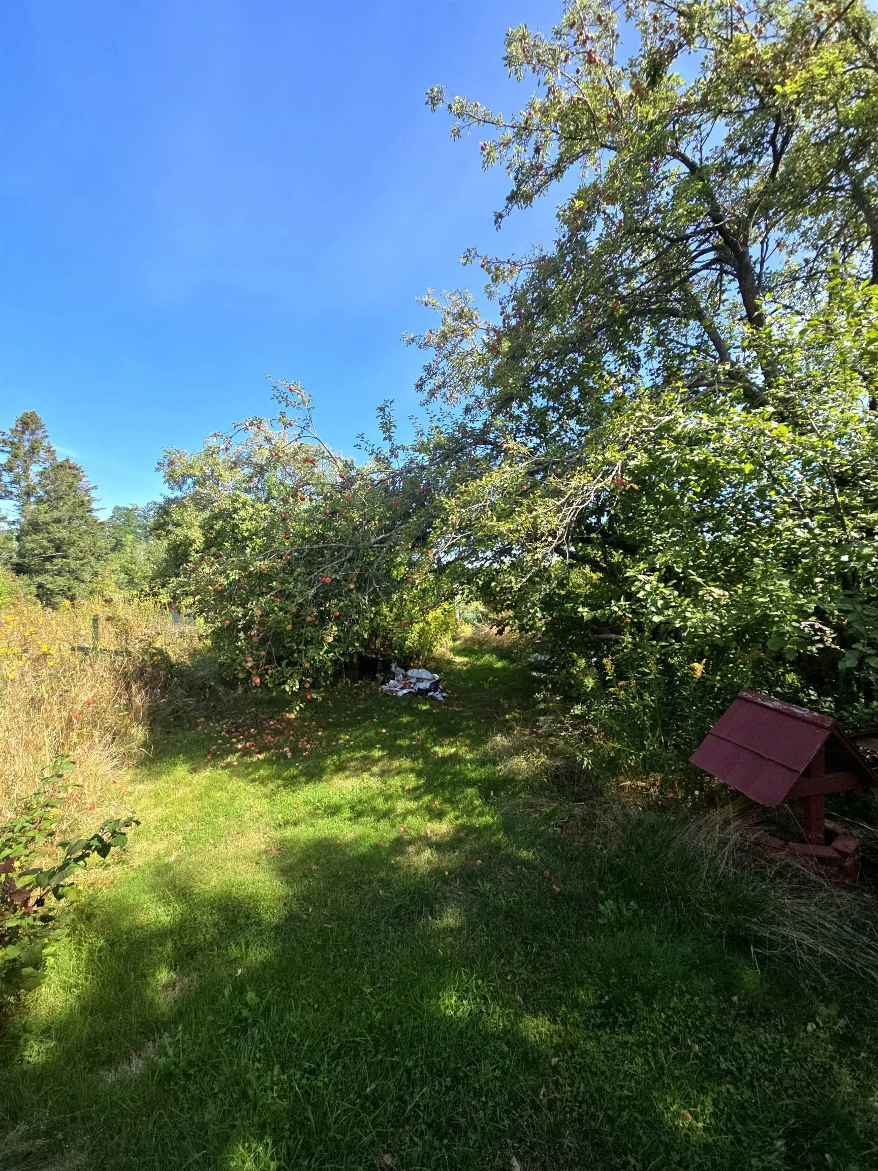 77 Bayfield Road, Afton, NS B0H 1A0, 3 Bedrooms Bedrooms, ,1 BathroomBathrooms,Residential,For Sale,Bayfield,202522978