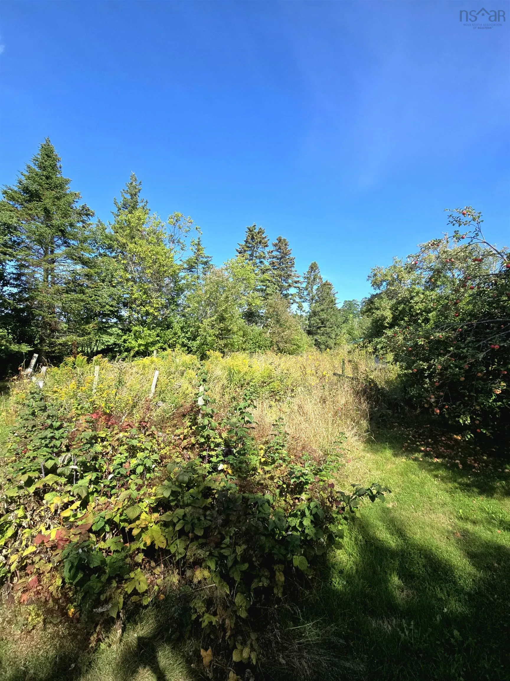77 Bayfield Road, Afton, NS B0H 1A0, 3 Bedrooms Bedrooms, ,1 BathroomBathrooms,Residential,For Sale,Bayfield,202522978
