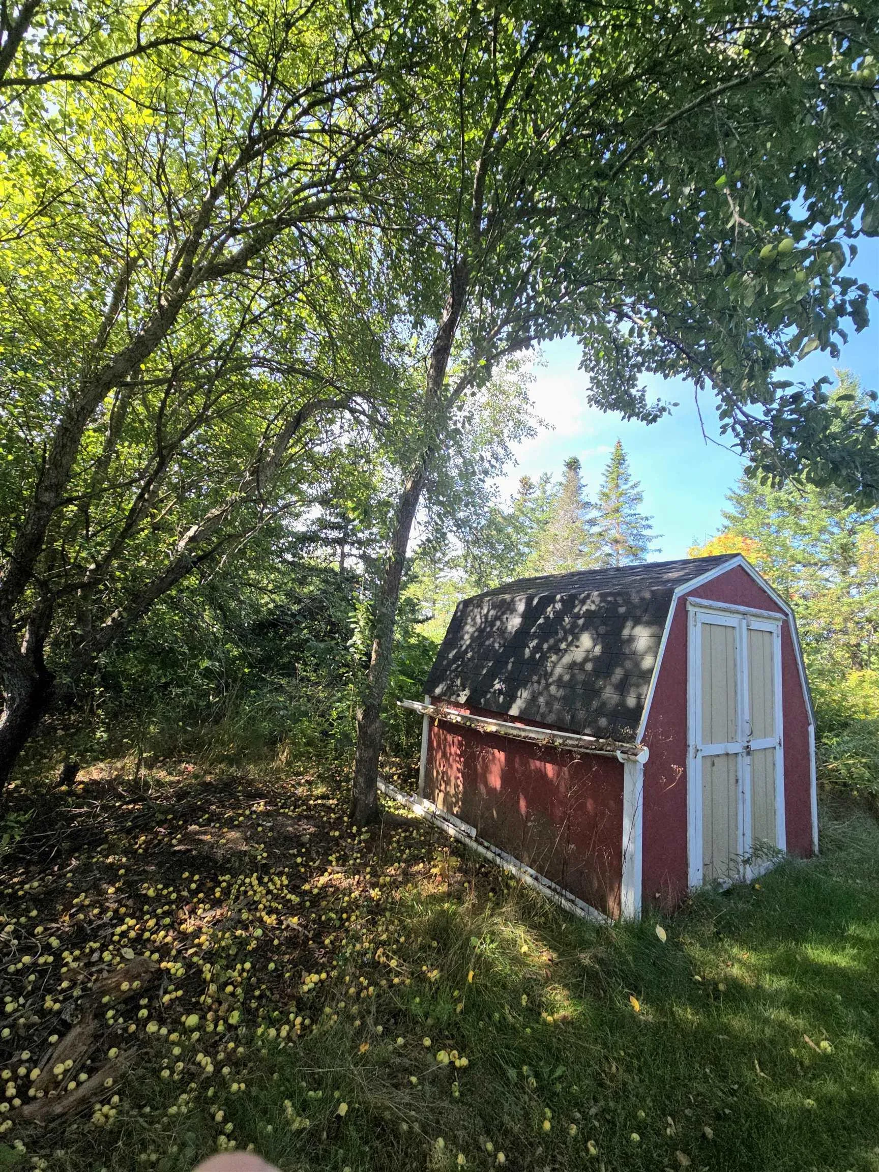 77 Bayfield Road, Afton, NS B0H 1A0, 3 Bedrooms Bedrooms, ,1 BathroomBathrooms,Residential,For Sale,Bayfield,202522978