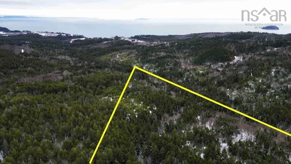 Highway 209, Spencers Island Ns B0m 1s0, ,Land,For Sale,Highway 209,202319363