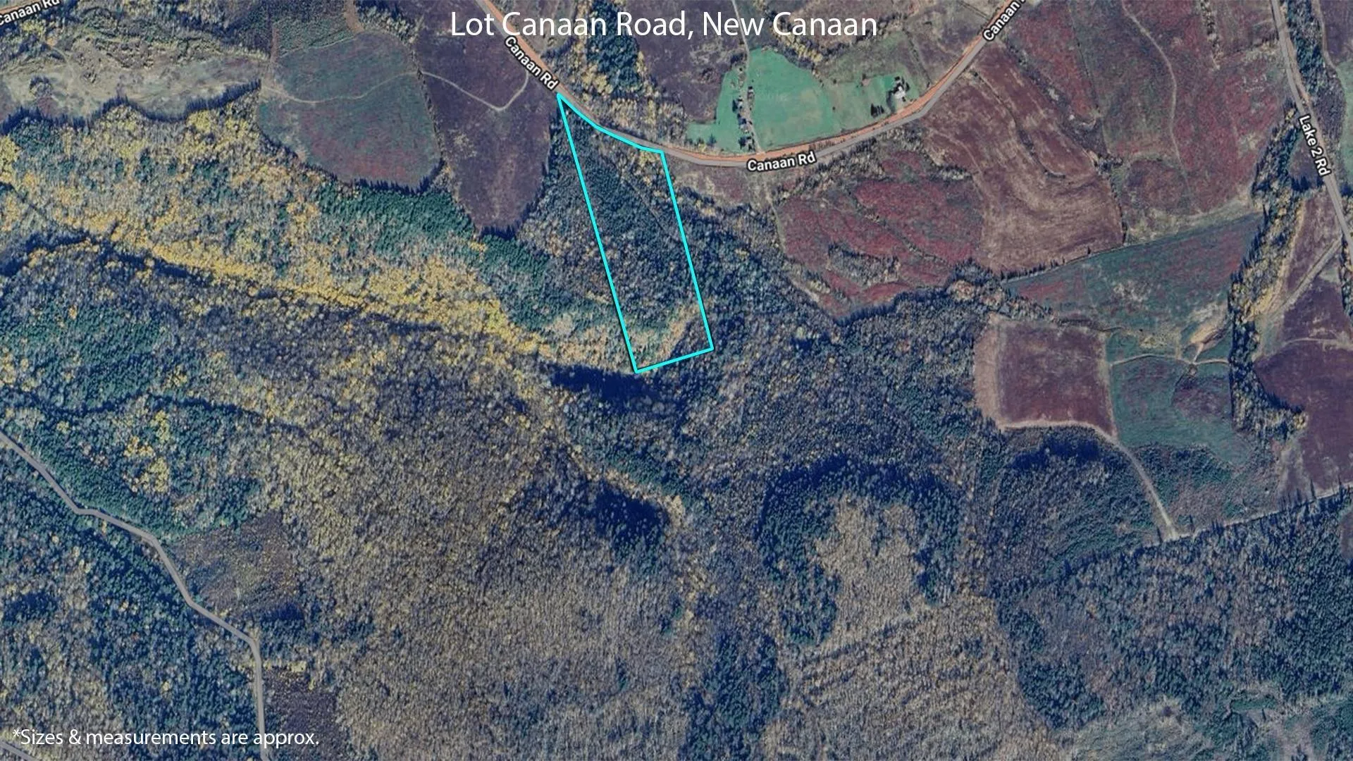 Canaan Road, New Canaan Ns B0m 1s0, ,Farm,For Sale,Canaan,202507355