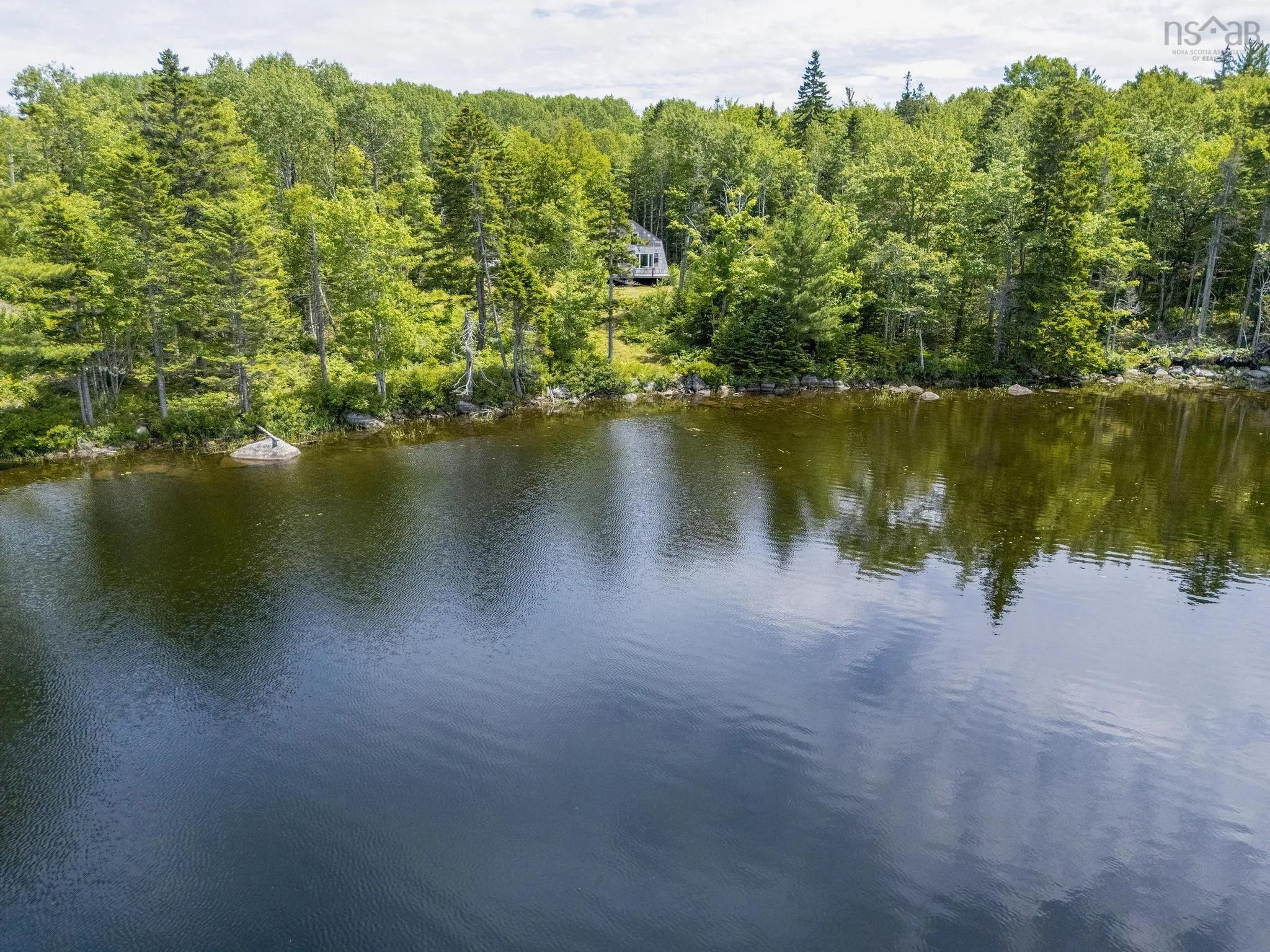 259 Bill Berry Road, Princedale, NS B0S 1G0, ,Land,For Sale,Bill Berry,202517676