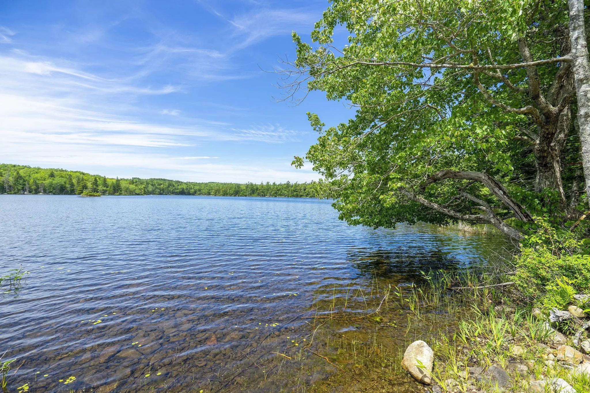 259 Bill Berry Road, Princedale, NS B0S 1G0, ,Land,For Sale,Bill Berry,202517676