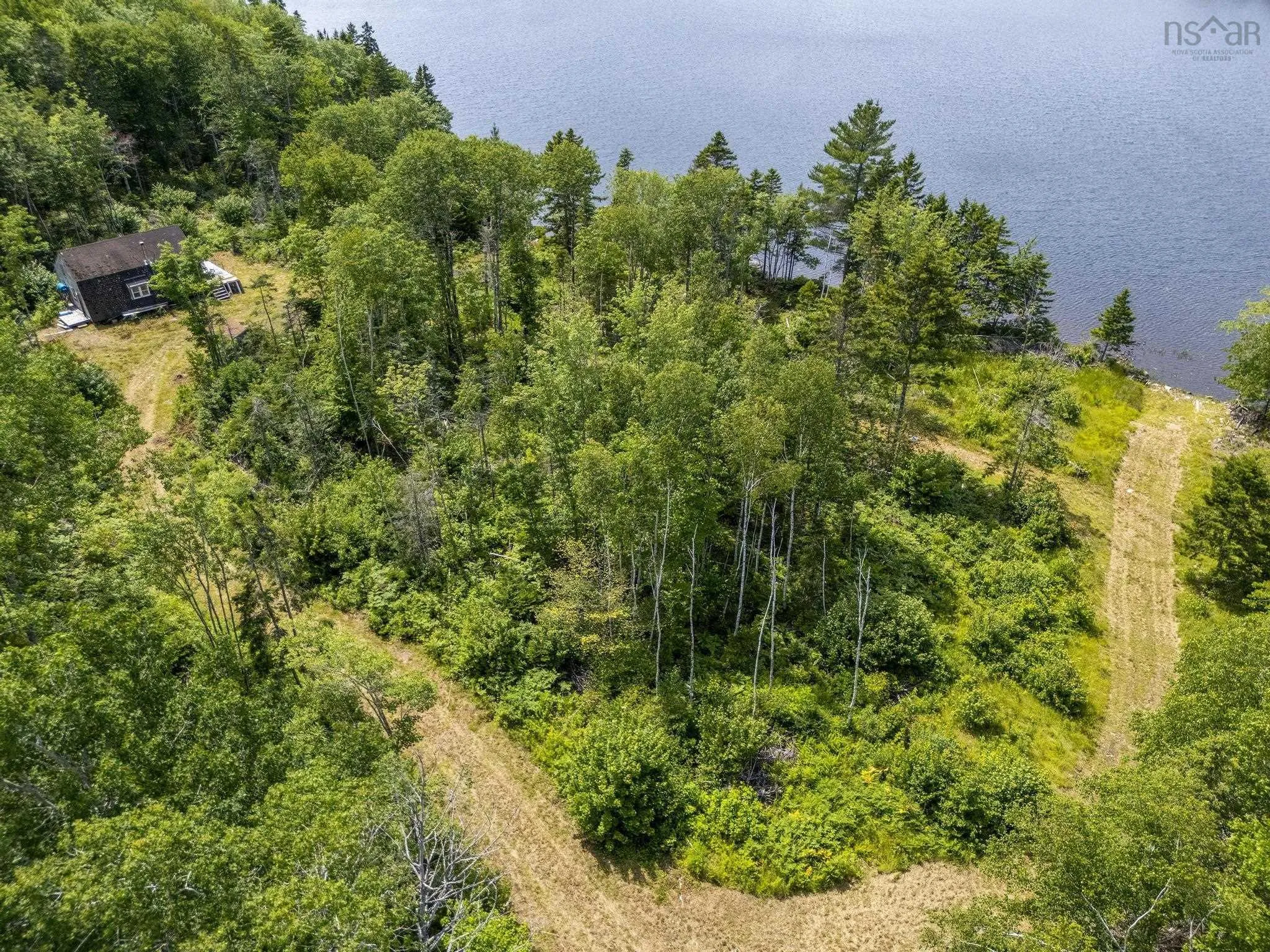 259 Bill Berry Road, Princedale, NS B0S 1G0, ,Land,For Sale,Bill Berry,202517676