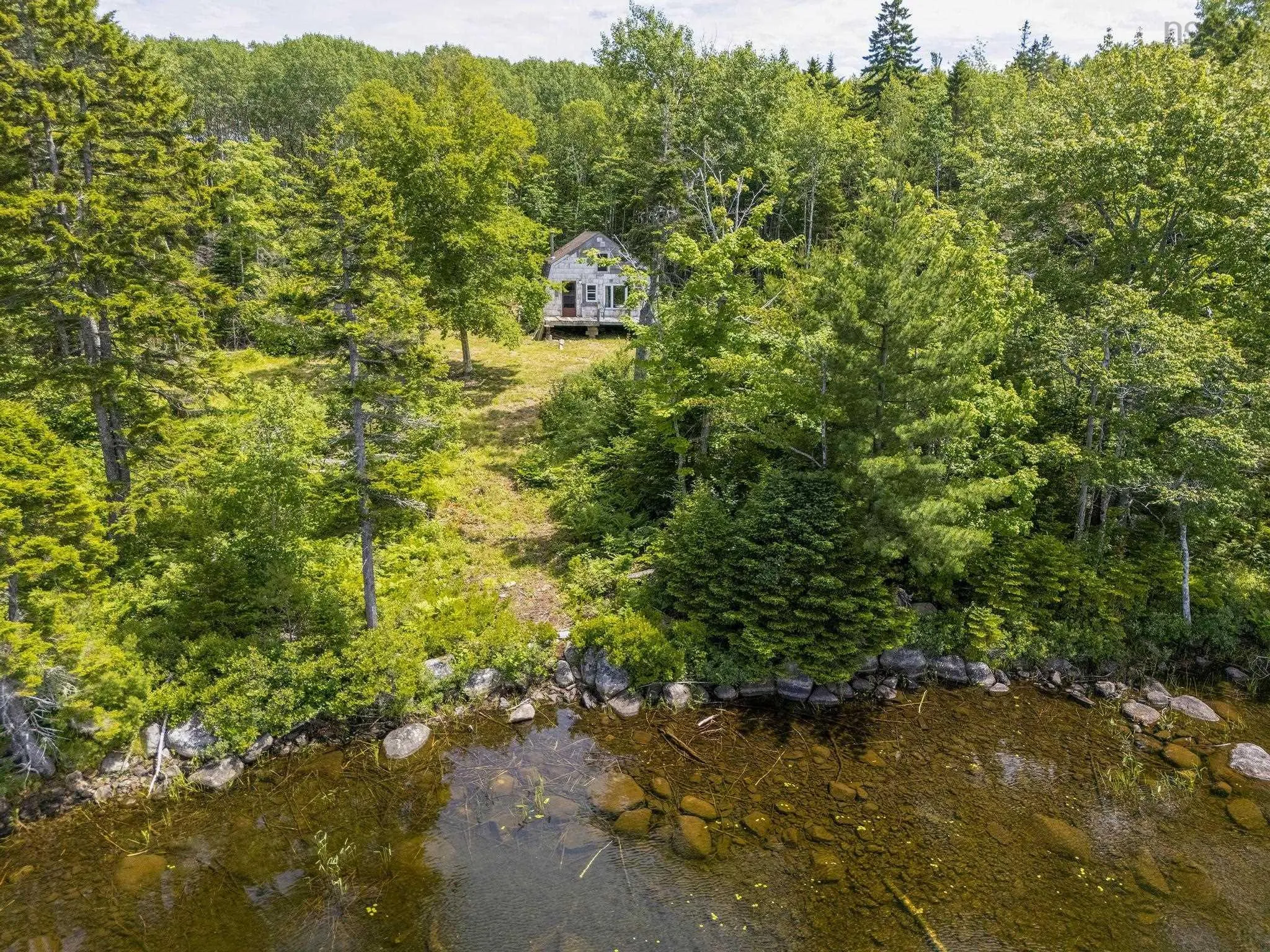 259 Bill Berry Road, Princedale, NS B0S 1G0, ,Land,For Sale,Bill Berry,202517676