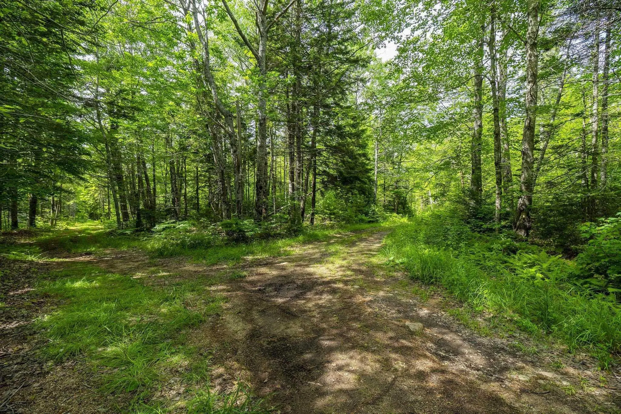 259 Bill Berry Road, Princedale, NS B0S 1G0, ,Land,For Sale,Bill Berry,202517676