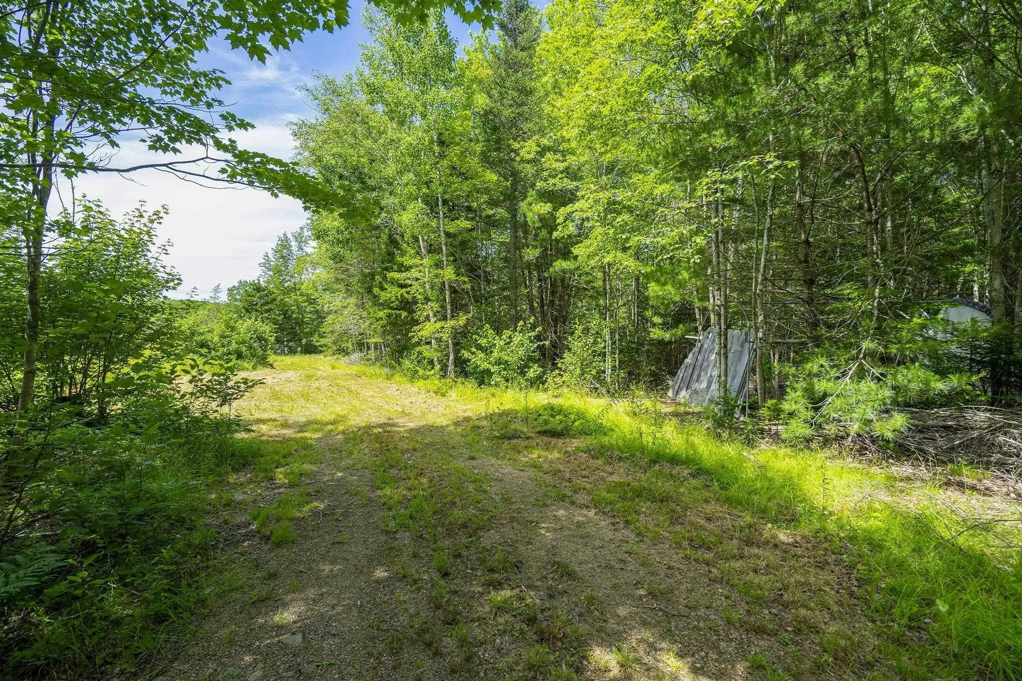 259 Bill Berry Road, Princedale, NS B0S 1G0, ,Land,For Sale,Bill Berry,202517676