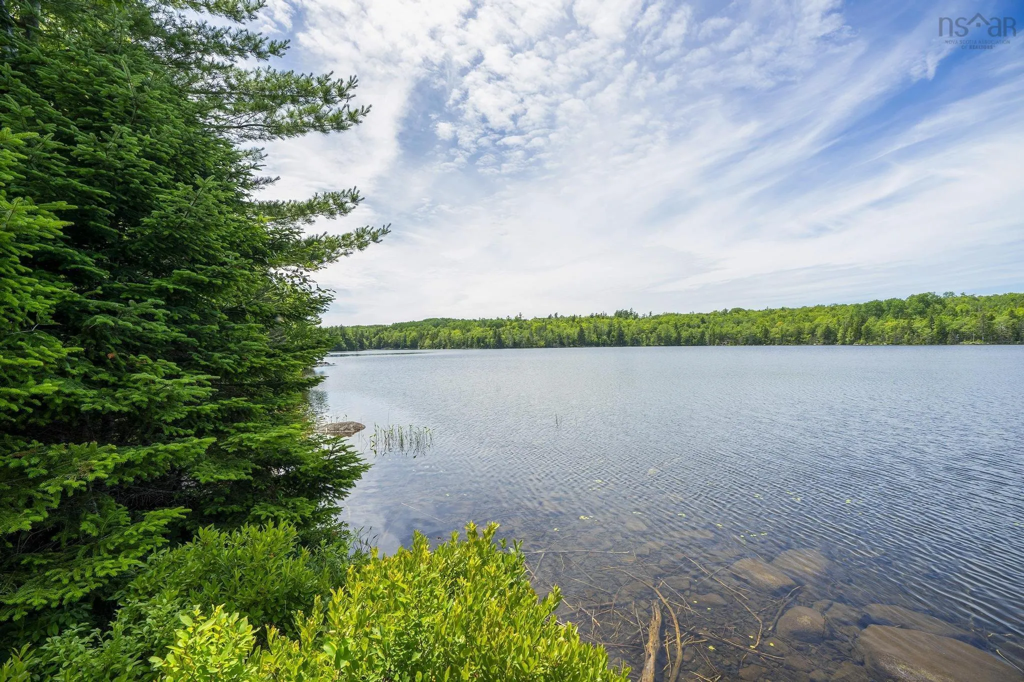 259 Bill Berry Road, Princedale, NS B0S 1G0, ,Land,For Sale,Bill Berry,202517676