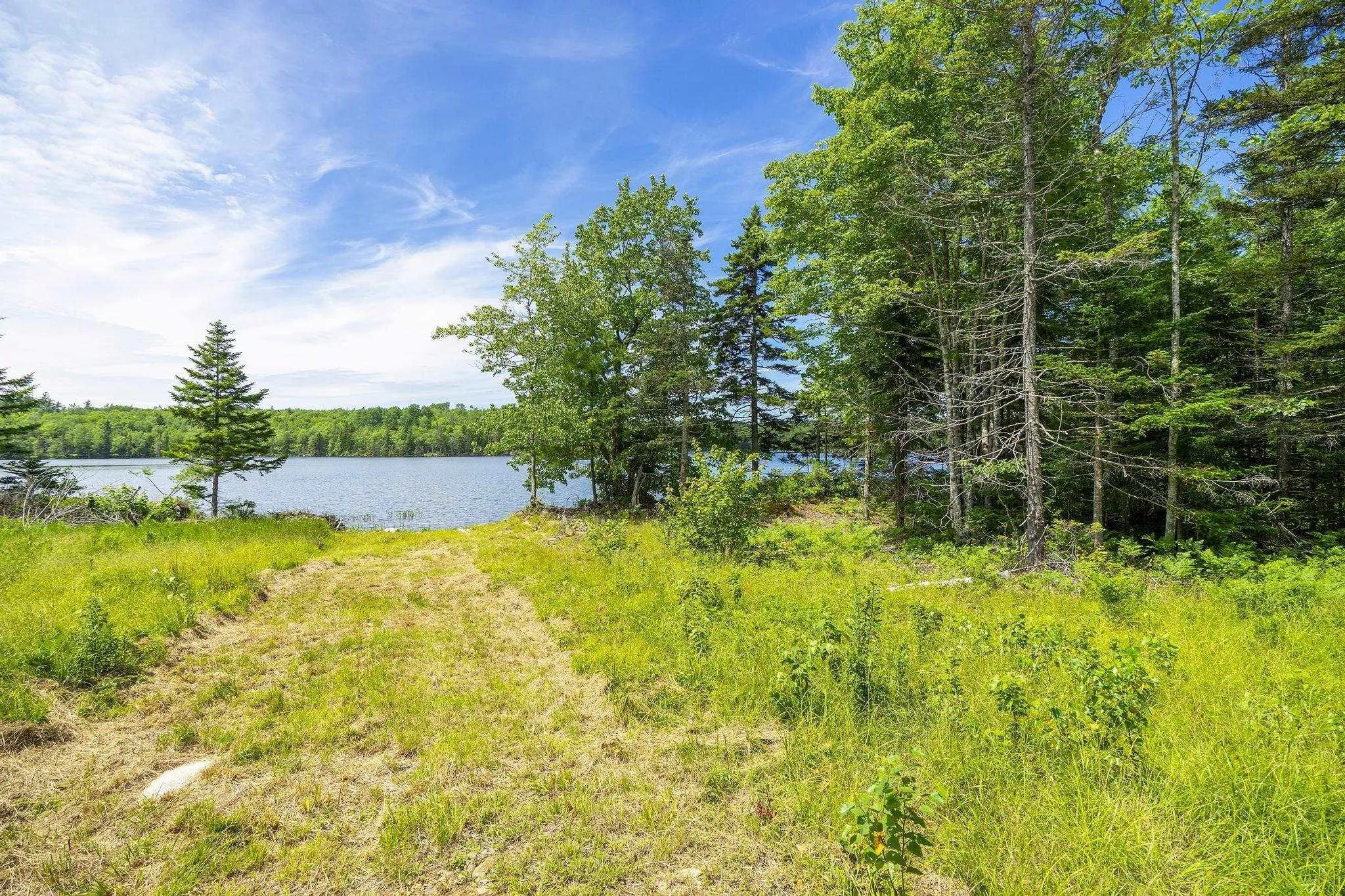 259 Bill Berry Road, Princedale, NS B0S 1G0, ,Land,For Sale,Bill Berry,202517676