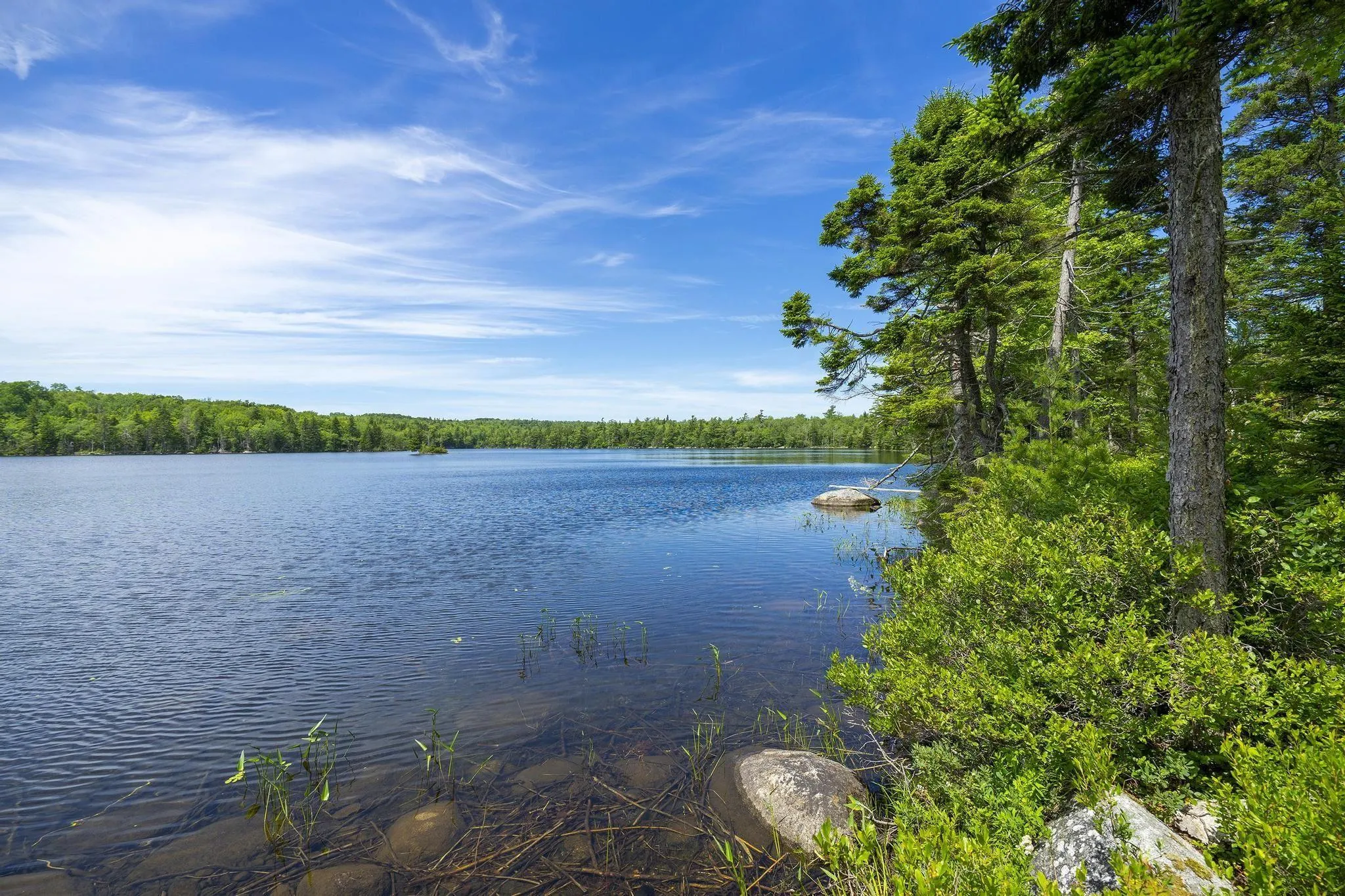 259 Bill Berry Road, Princedale, NS B0S 1G0, ,Land,For Sale,Bill Berry,202517676