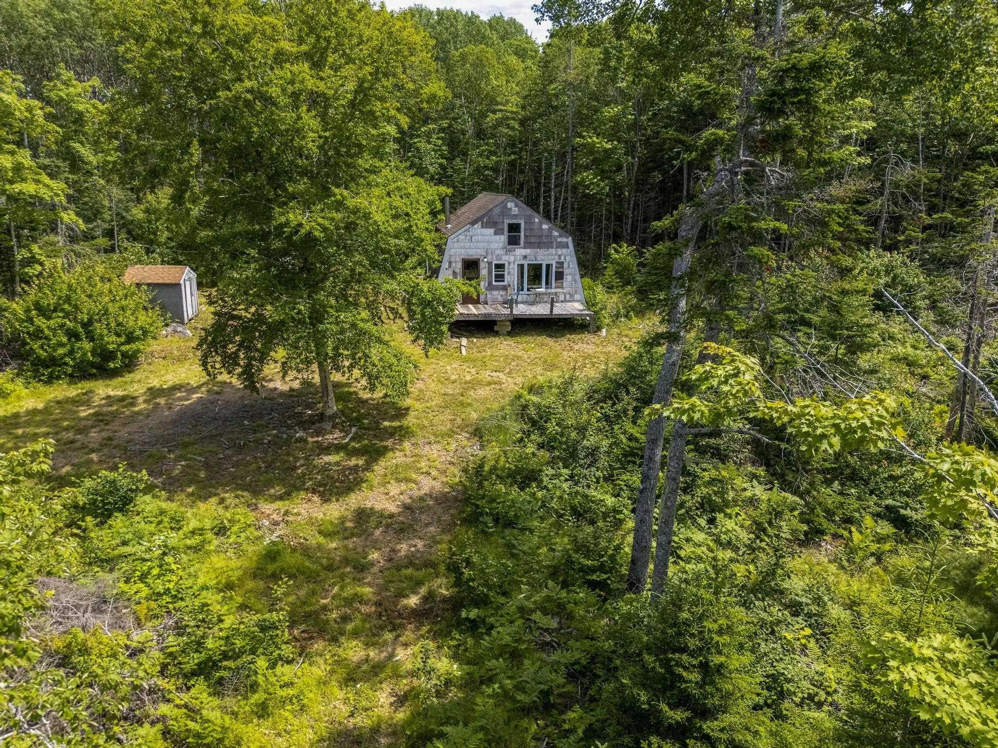 259 Bill Berry Road, Princedale, NS B0S 1G0, ,Land,For Sale,Bill Berry,202517676