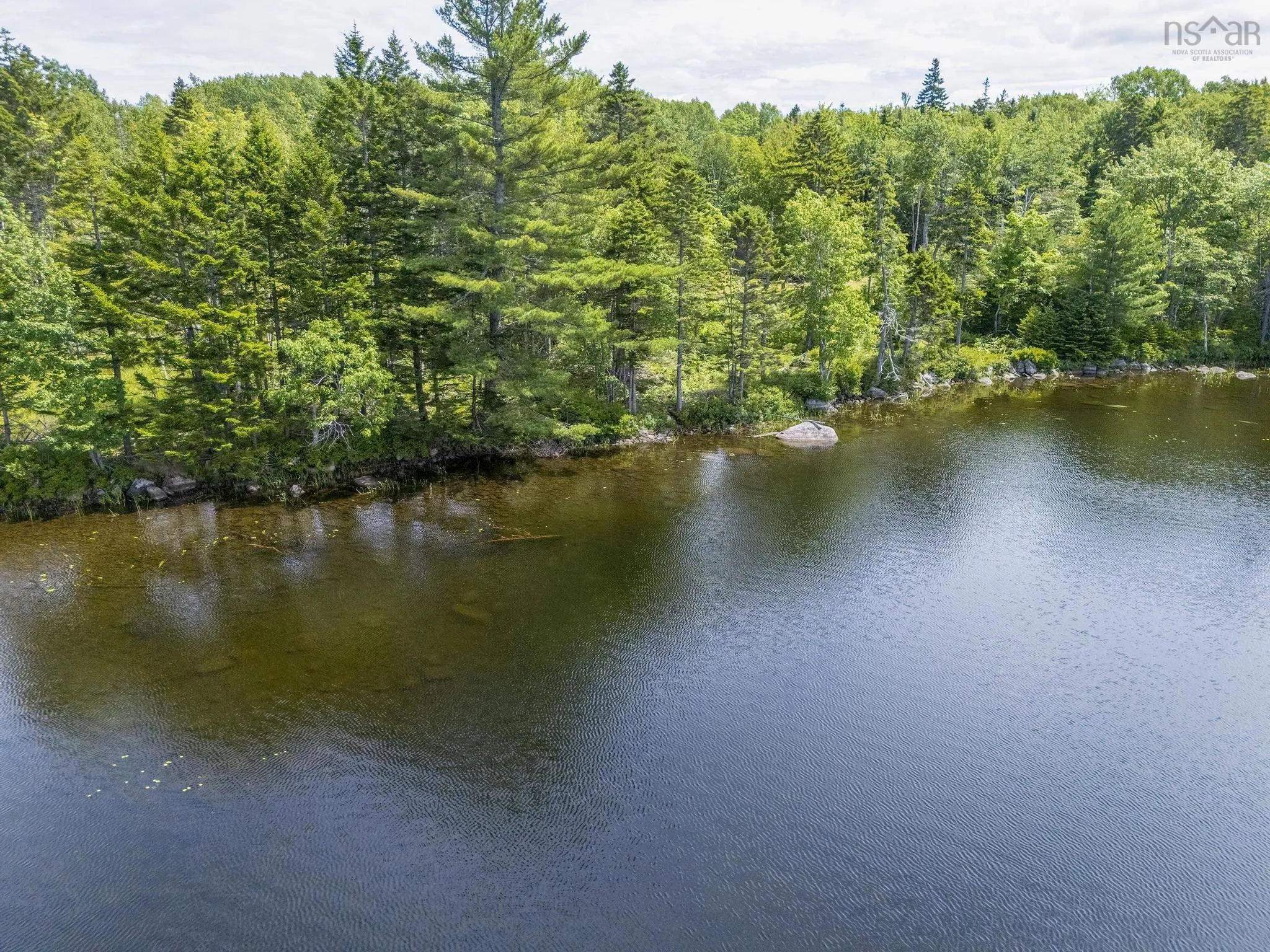 259 Bill Berry Road, Princedale, NS B0S 1G0, ,Land,For Sale,Bill Berry,202517676