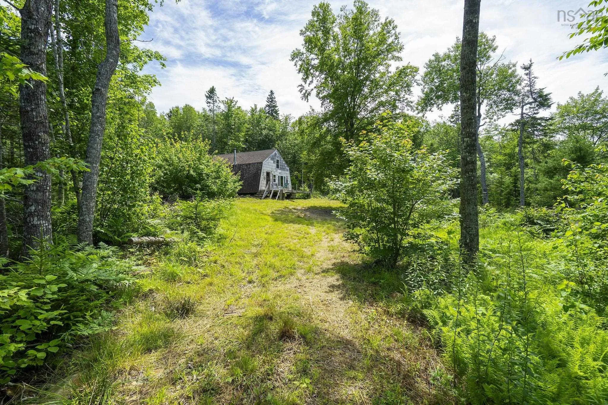 259 Bill Berry Road, Princedale, NS B0S 1G0, ,Land,For Sale,Bill Berry,202517676