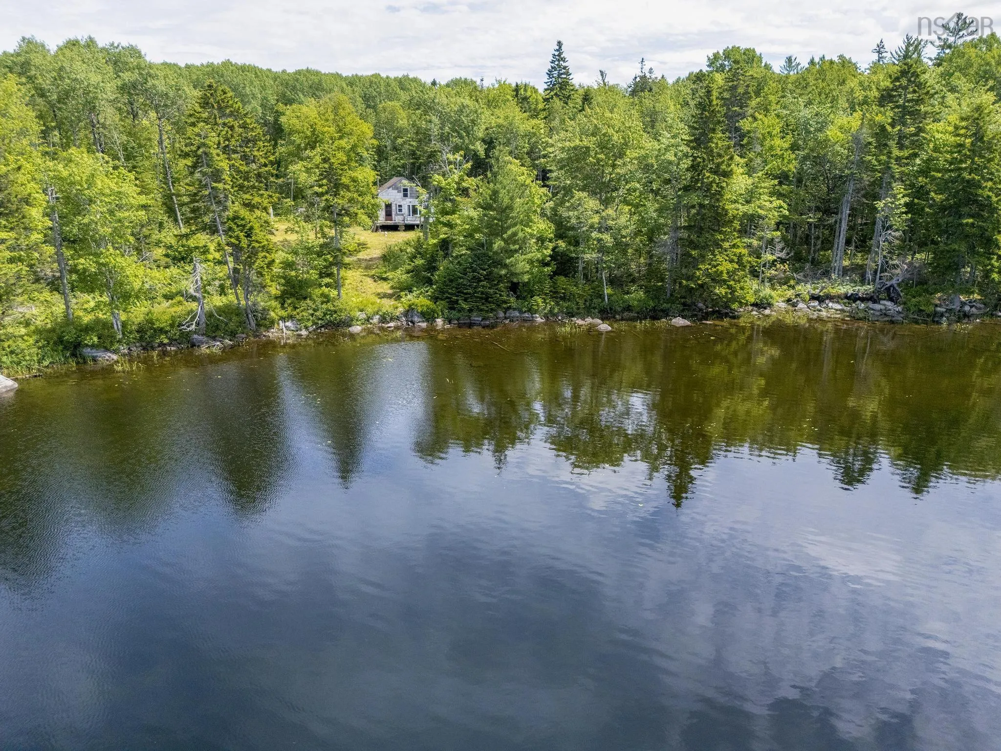 259 Bill Berry Road, Princedale, NS B0S 1G0, ,Land,For Sale,Bill Berry,202517676