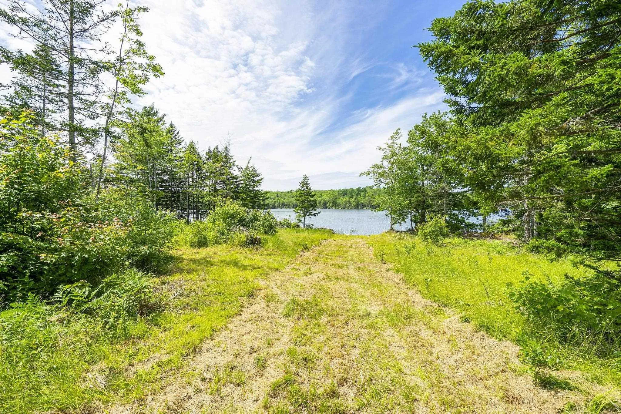 259 Bill Berry Road, Princedale, NS B0S 1G0, ,Land,For Sale,Bill Berry,202517676