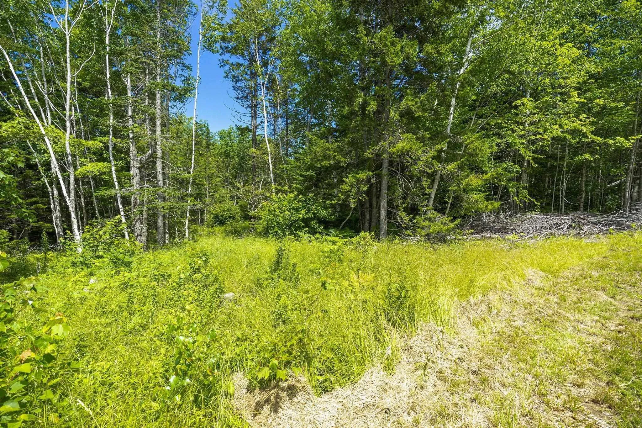 259 Bill Berry Road, Princedale, NS B0S 1G0, ,Land,For Sale,Bill Berry,202517676