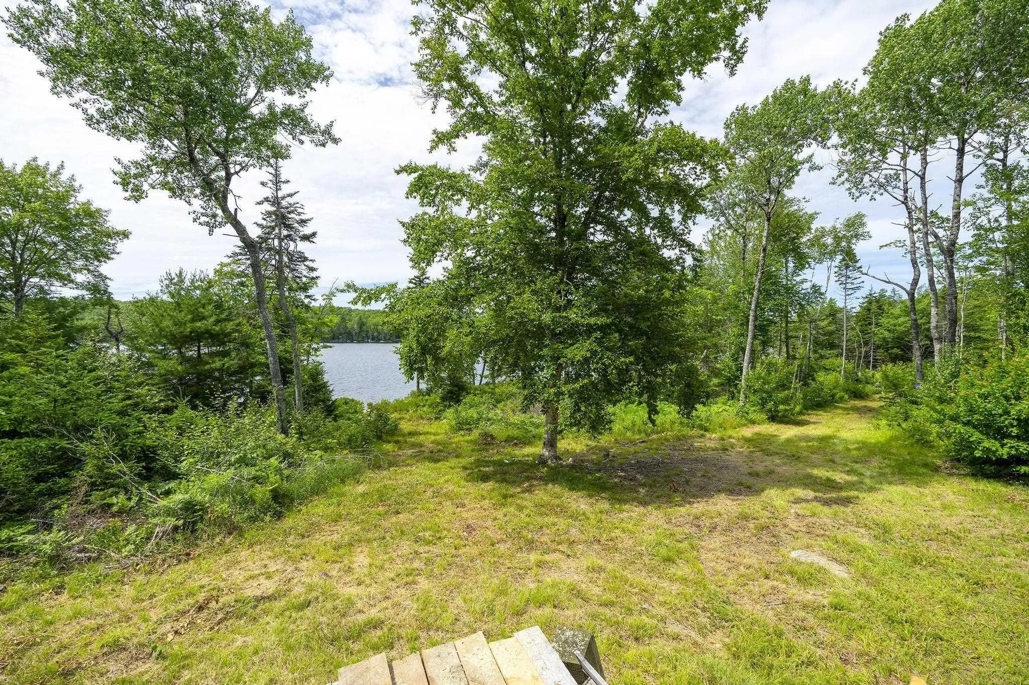 259 Bill Berry Road, Princedale, NS B0S 1G0, ,Land,For Sale,Bill Berry,202517676