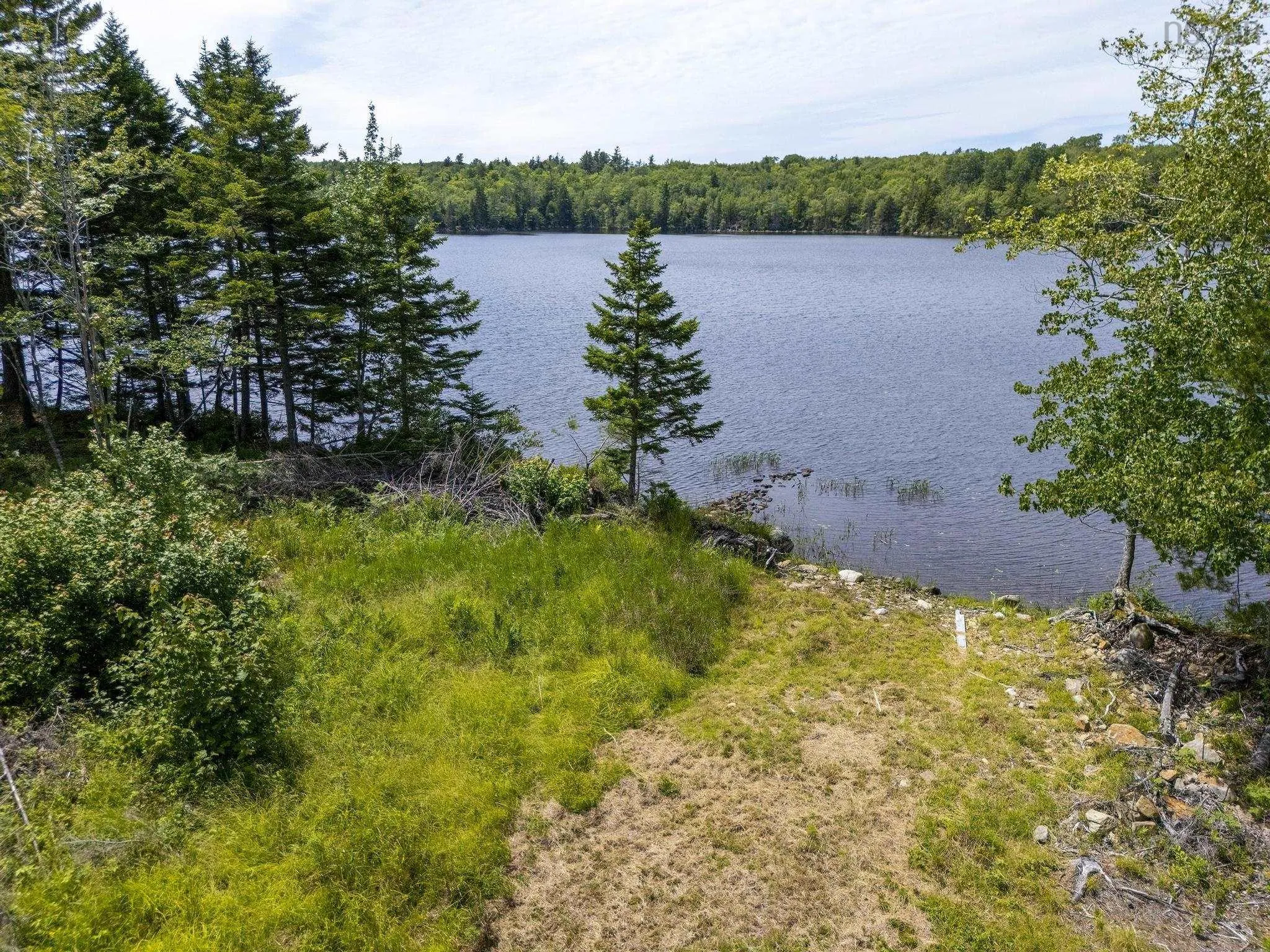 259 Bill Berry Road, Princedale, NS B0S 1G0, ,Land,For Sale,Bill Berry,202517676