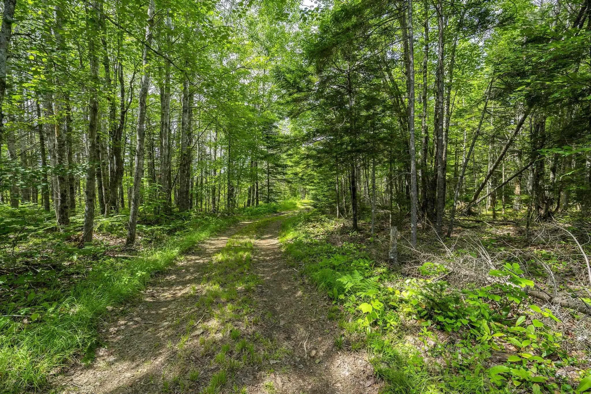 259 Bill Berry Road, Princedale, NS B0S 1G0, ,Land,For Sale,Bill Berry,202517676