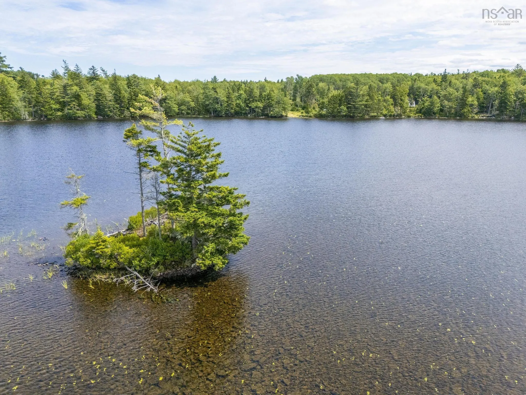 259 Bill Berry Road, Princedale, NS B0S 1G0, ,Land,For Sale,Bill Berry,202517676