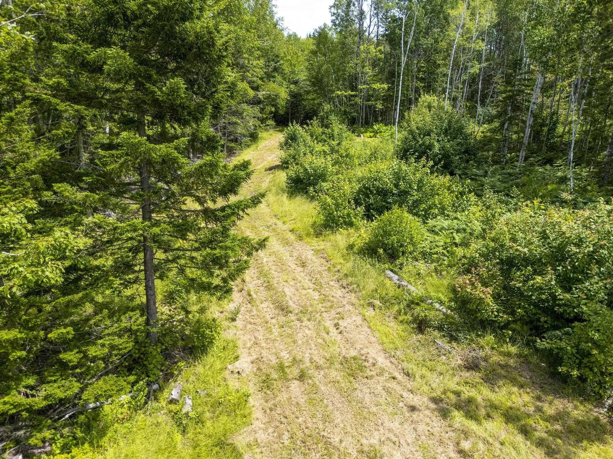 259 Bill Berry Road, Princedale, NS B0S 1G0, ,Land,For Sale,Bill Berry,202517676