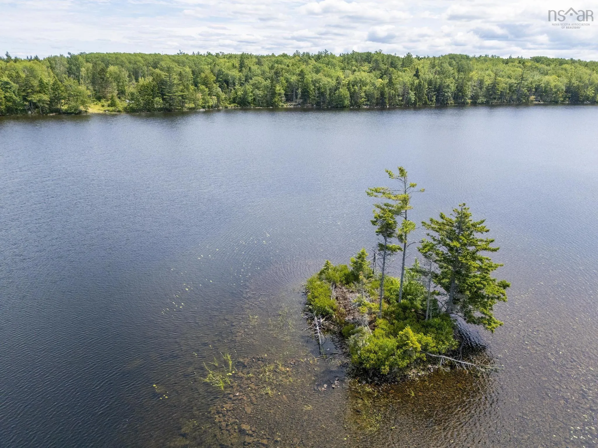 259 Bill Berry Road, Princedale, NS B0S 1G0, ,Land,For Sale,Bill Berry,202517676