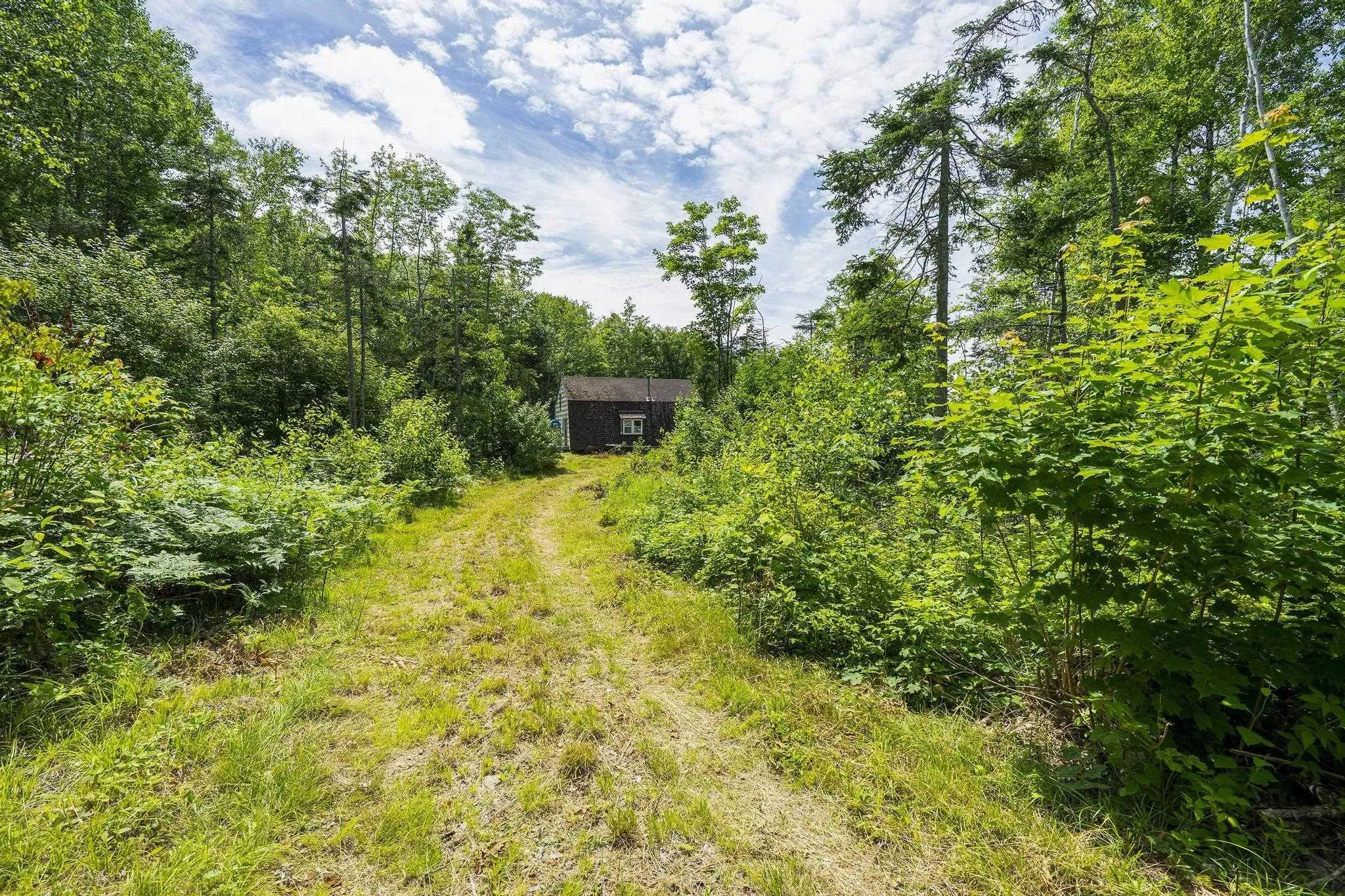 259 Bill Berry Road, Princedale, NS B0S 1G0, ,Land,For Sale,Bill Berry,202517676