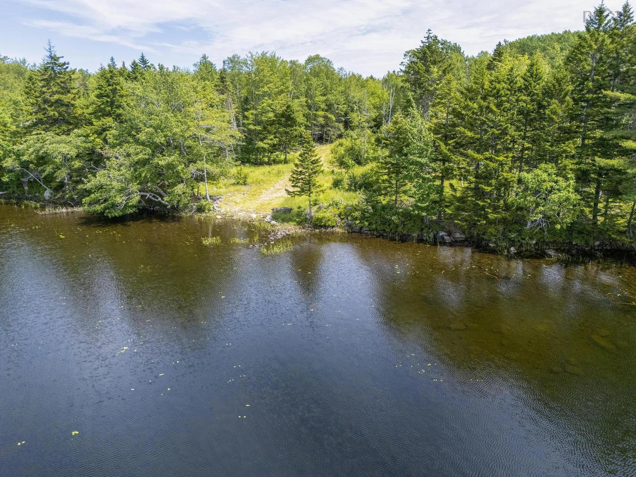 259 Bill Berry Road, Princedale, NS B0S 1G0, ,Land,For Sale,Bill Berry,202517676