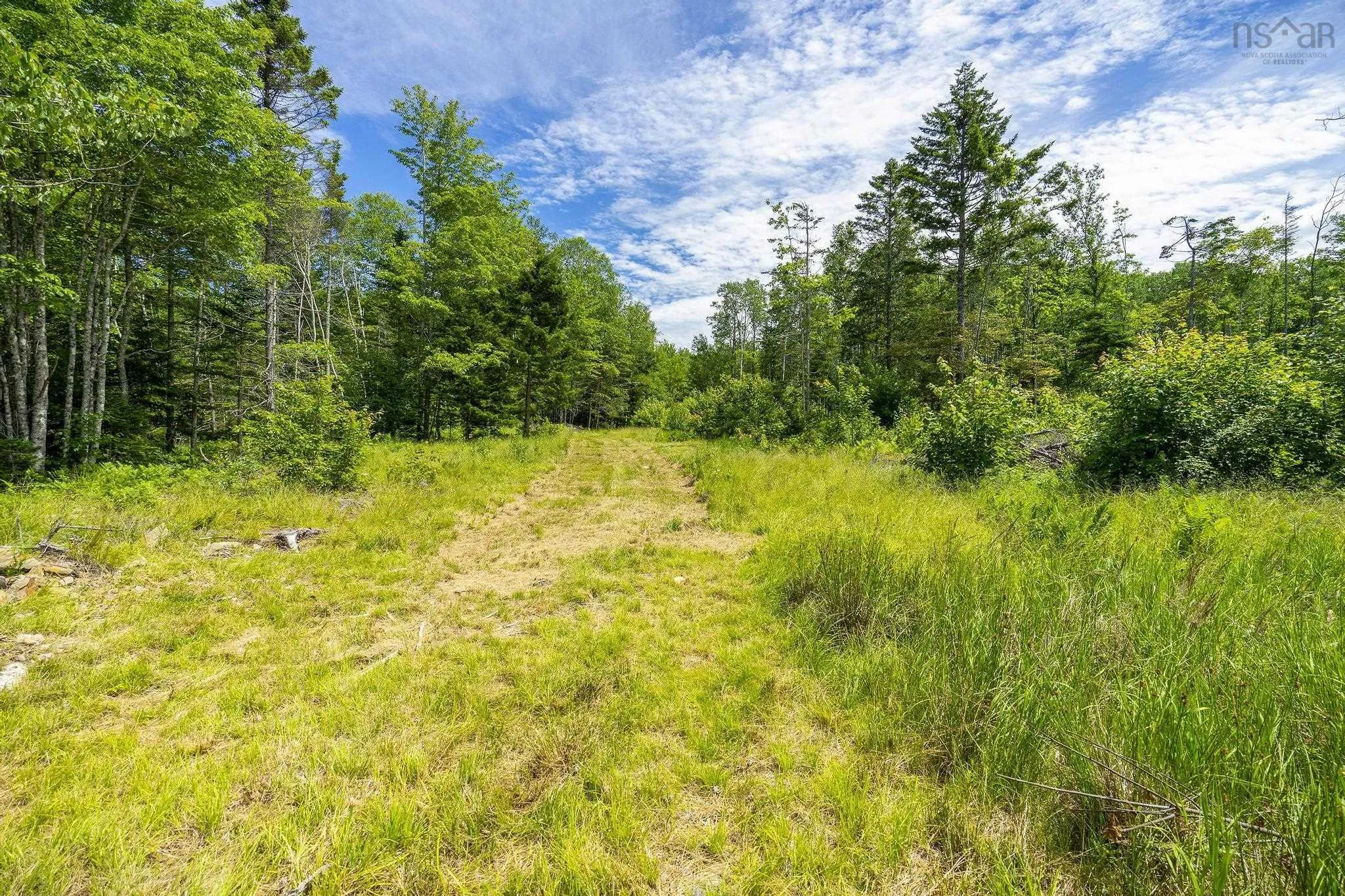 259 Bill Berry Road, Princedale, NS B0S 1G0, ,Land,For Sale,Bill Berry,202517676