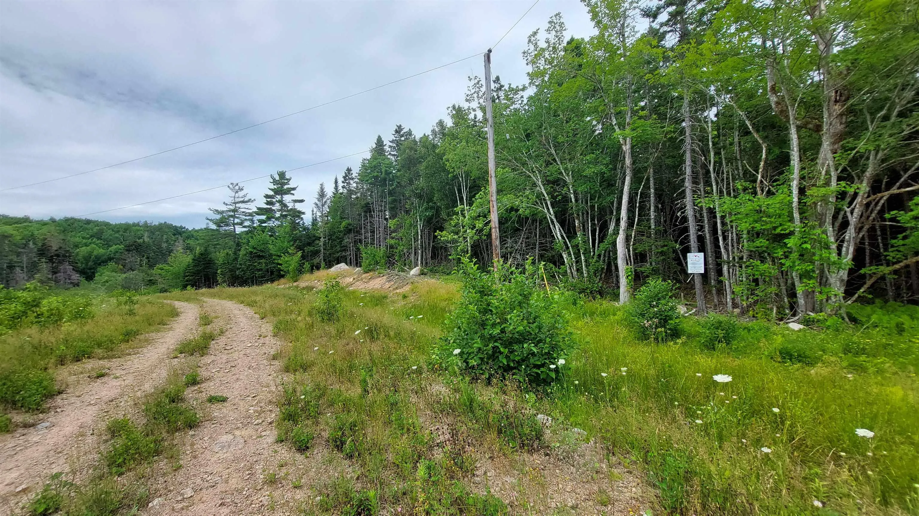 Lot 1g Marble Mountain Rd, Malagawatch, NS B0E 2Y0, ,Land,For Sale,Marble Mountain Rd,202513019