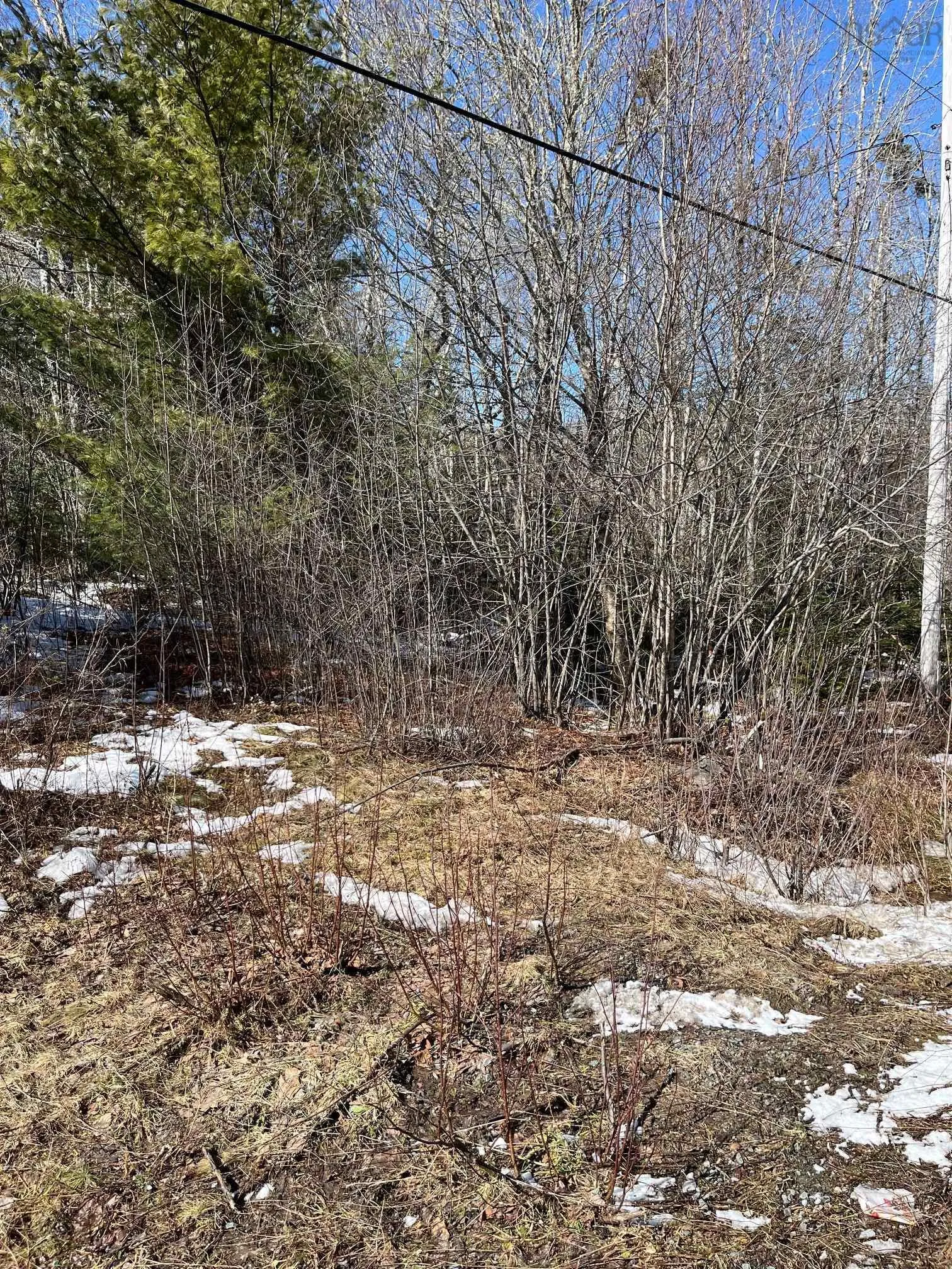 535 Westfield Road, Westfield Ns B0t 1b0, ,Land,For Sale,Westfield,202504611