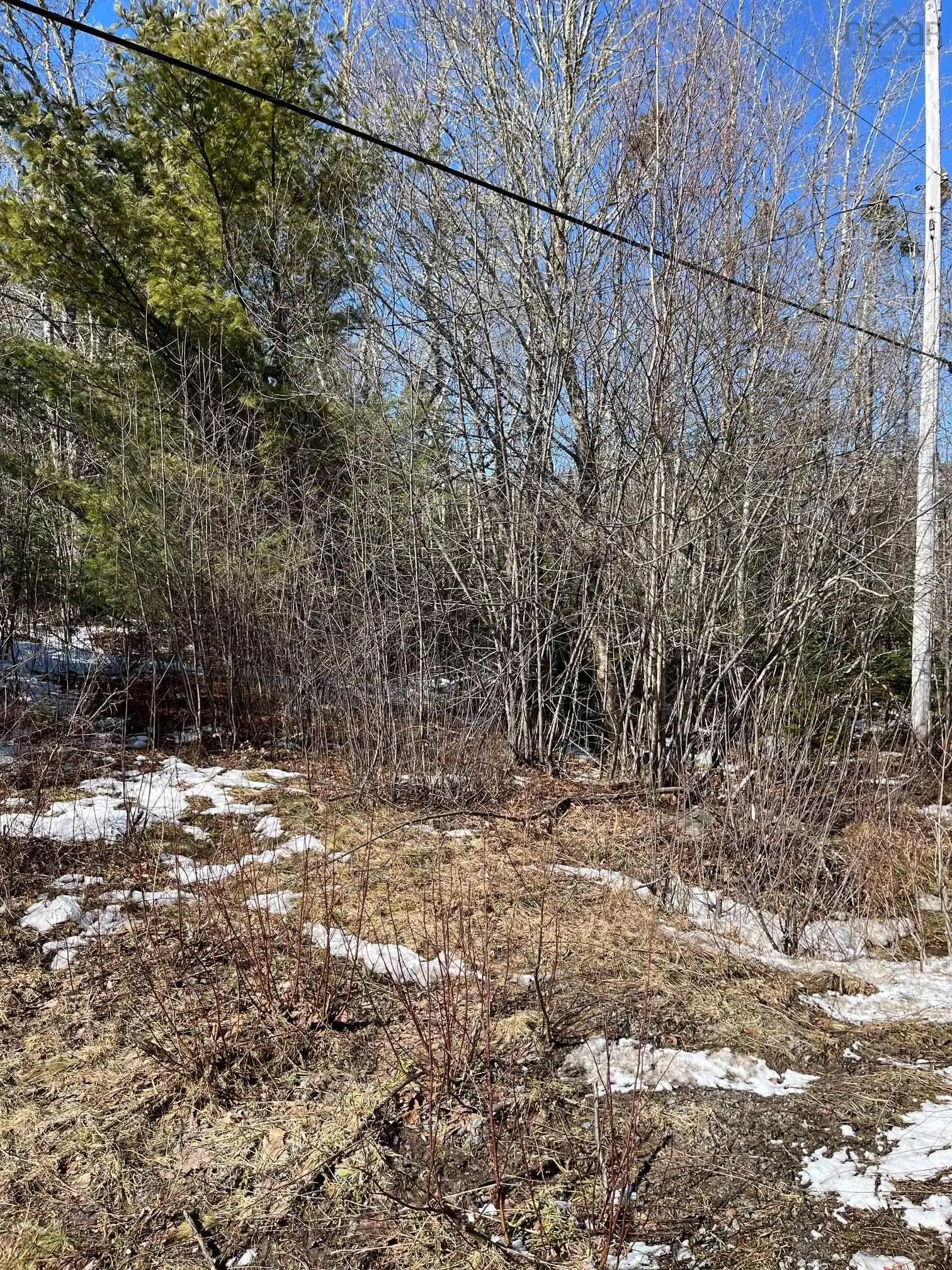 535 Westfield Road, Westfield Ns B0t 1b0, ,Land,For Sale,Westfield,202504611