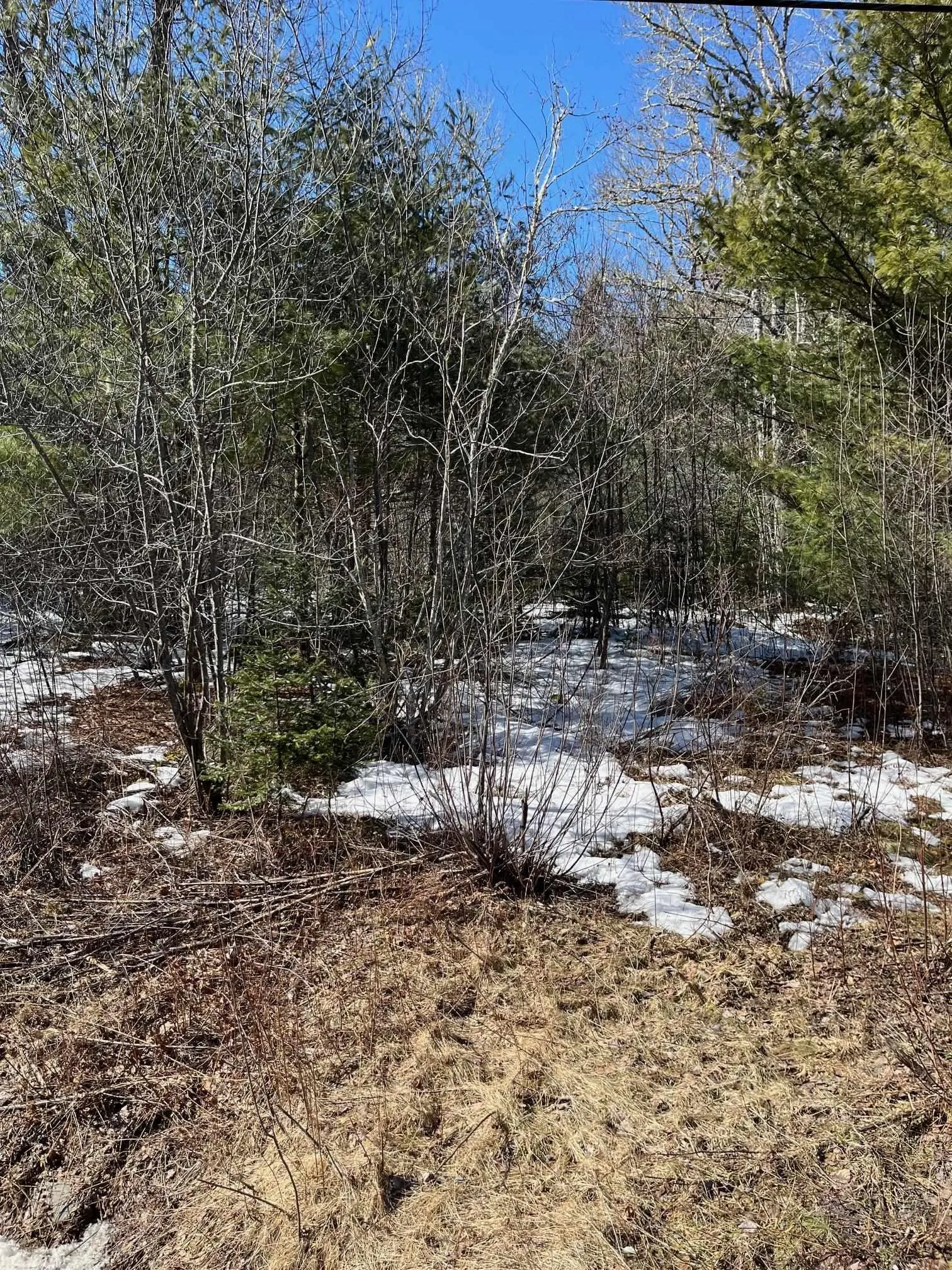535 Westfield Road, Westfield Ns B0t 1b0, ,Land,For Sale,Westfield,202504611