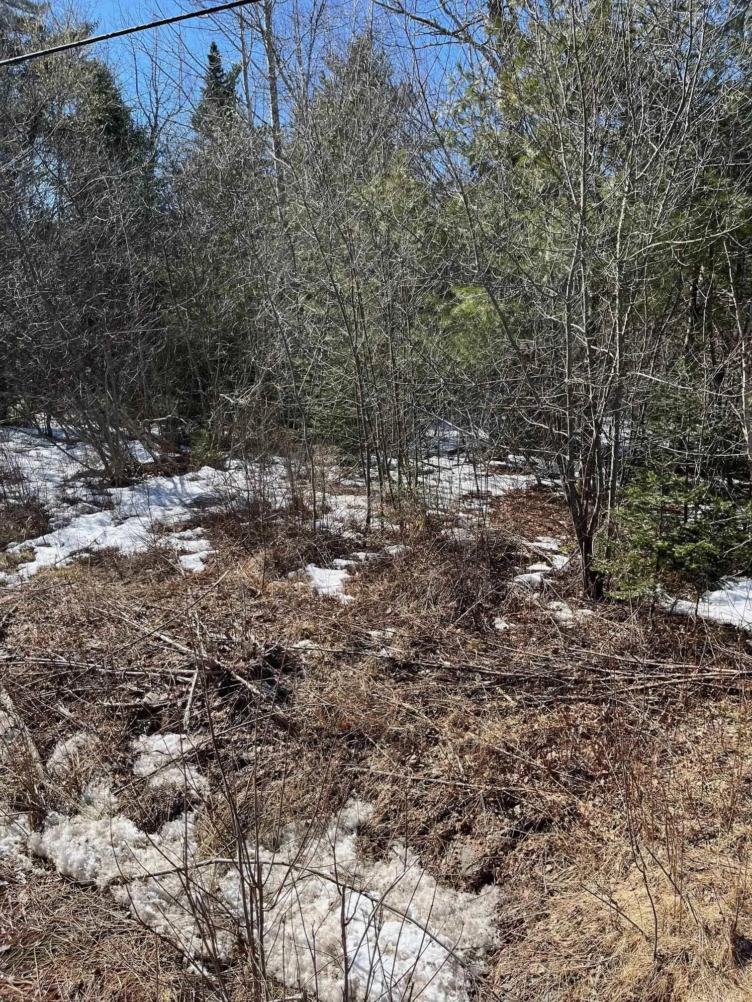 535 Westfield Road, Westfield Ns B0t 1b0, ,Land,For Sale,Westfield,202504611