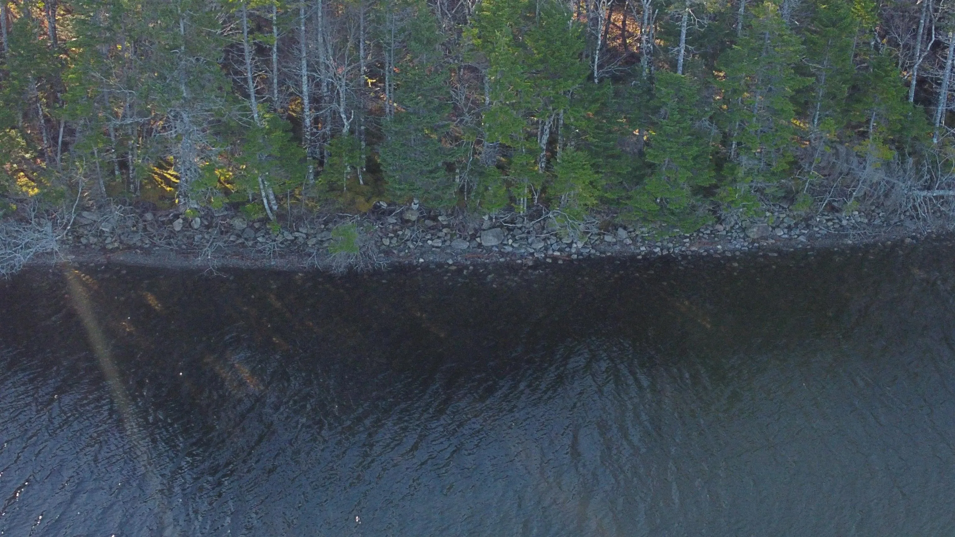 Lakefront Drive Lot 9b, Loch Lomond West Ns B0a 1h0, ,Land,For Sale,Lakefront,202427877