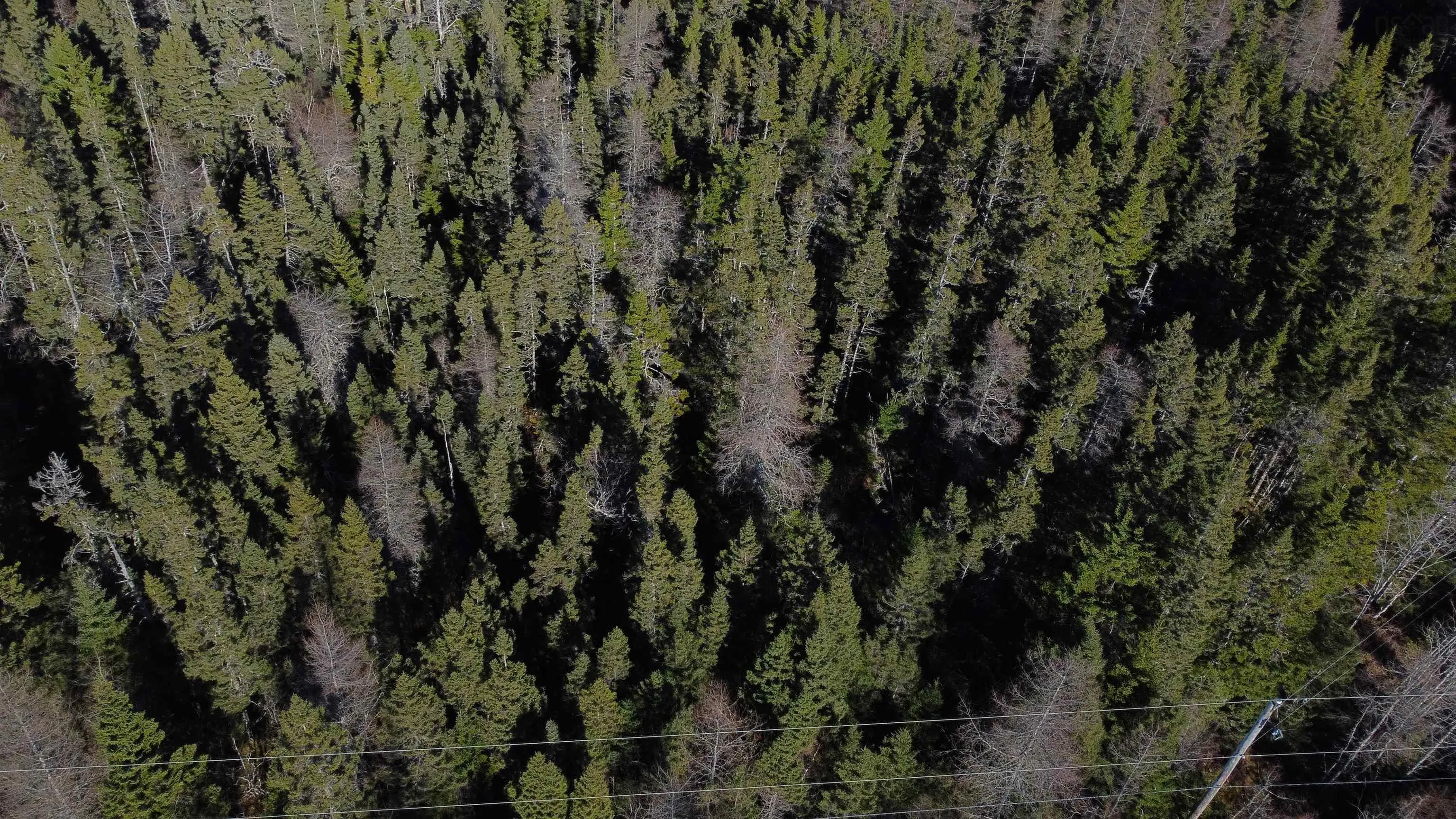 Lakefront Drive Lot 9b, Loch Lomond West Ns B0a 1h0, ,Land,For Sale,Lakefront,202427877