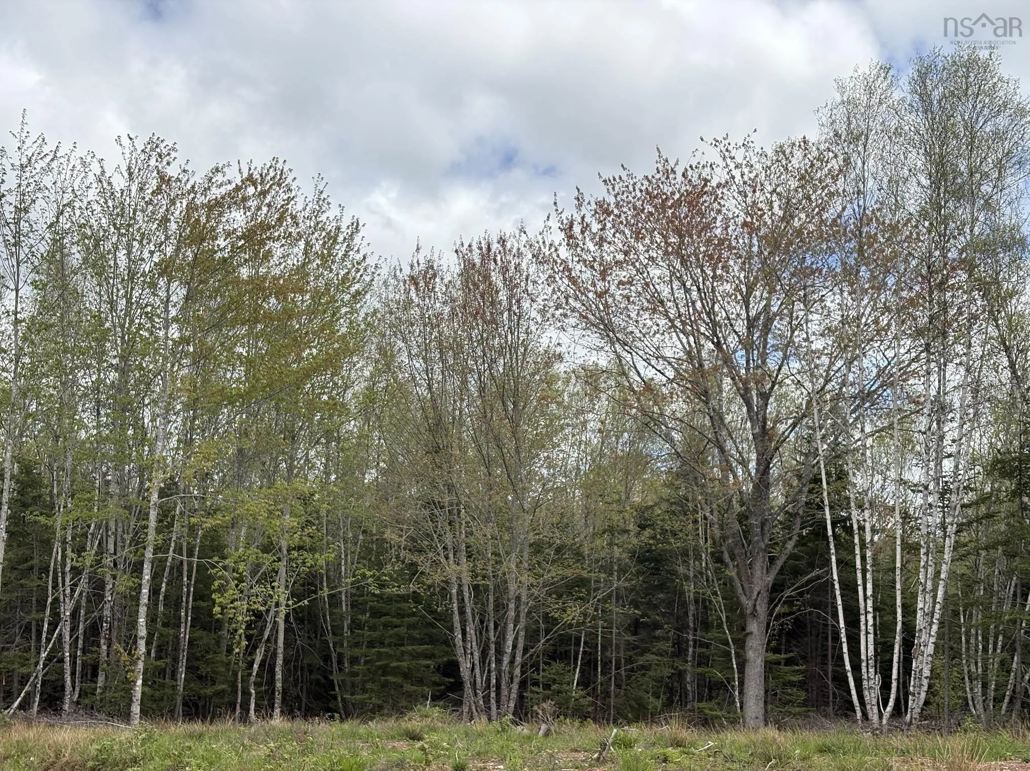 Highway 14 Lot 3, Upper Nine Mile River, NS B2S 2Z3, ,Land,For Sale,Highway 14,202513465
