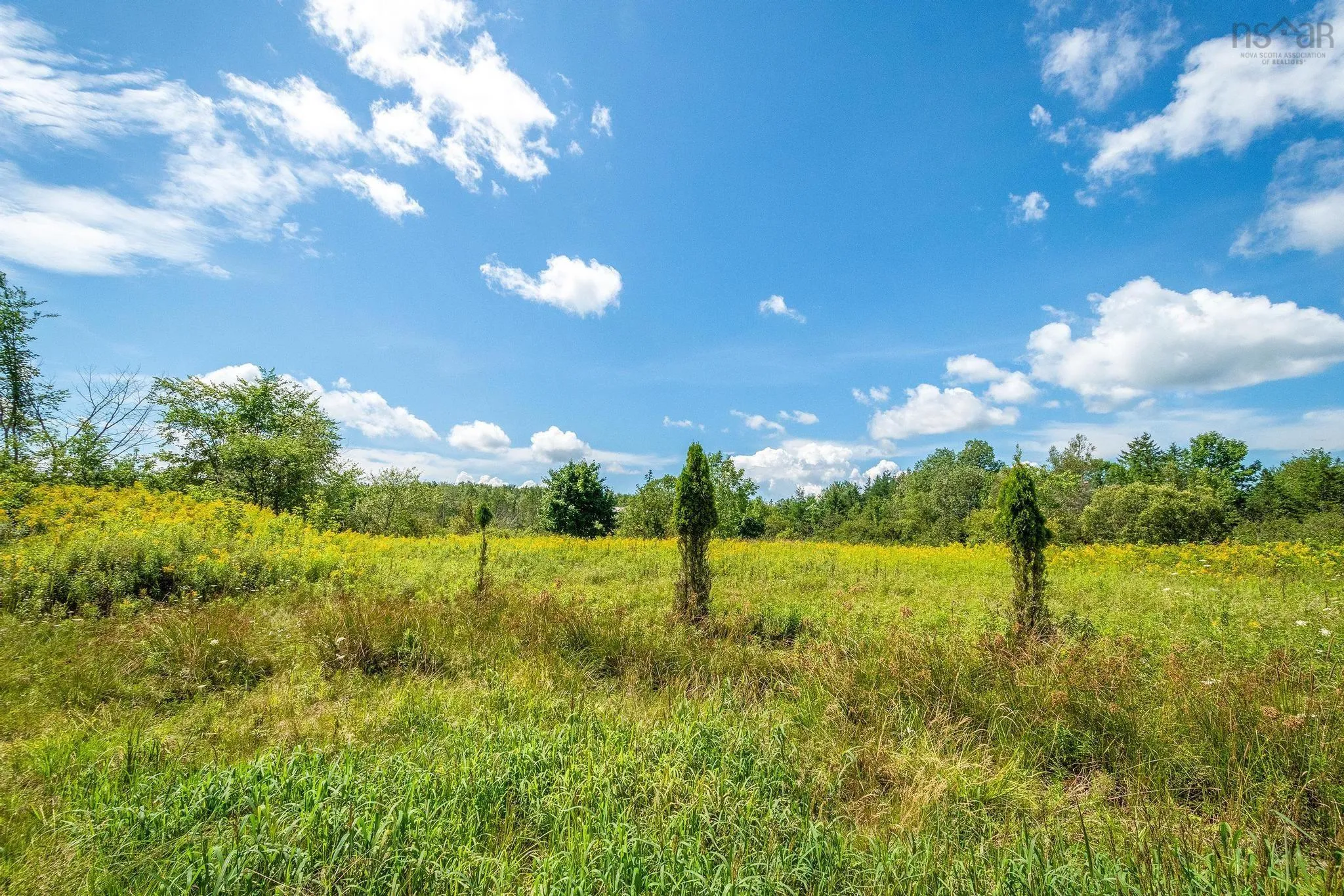 2316 Highway 2, Milford Ns B0n 1y0, ,Land,For Sale,Highway 2,202419759