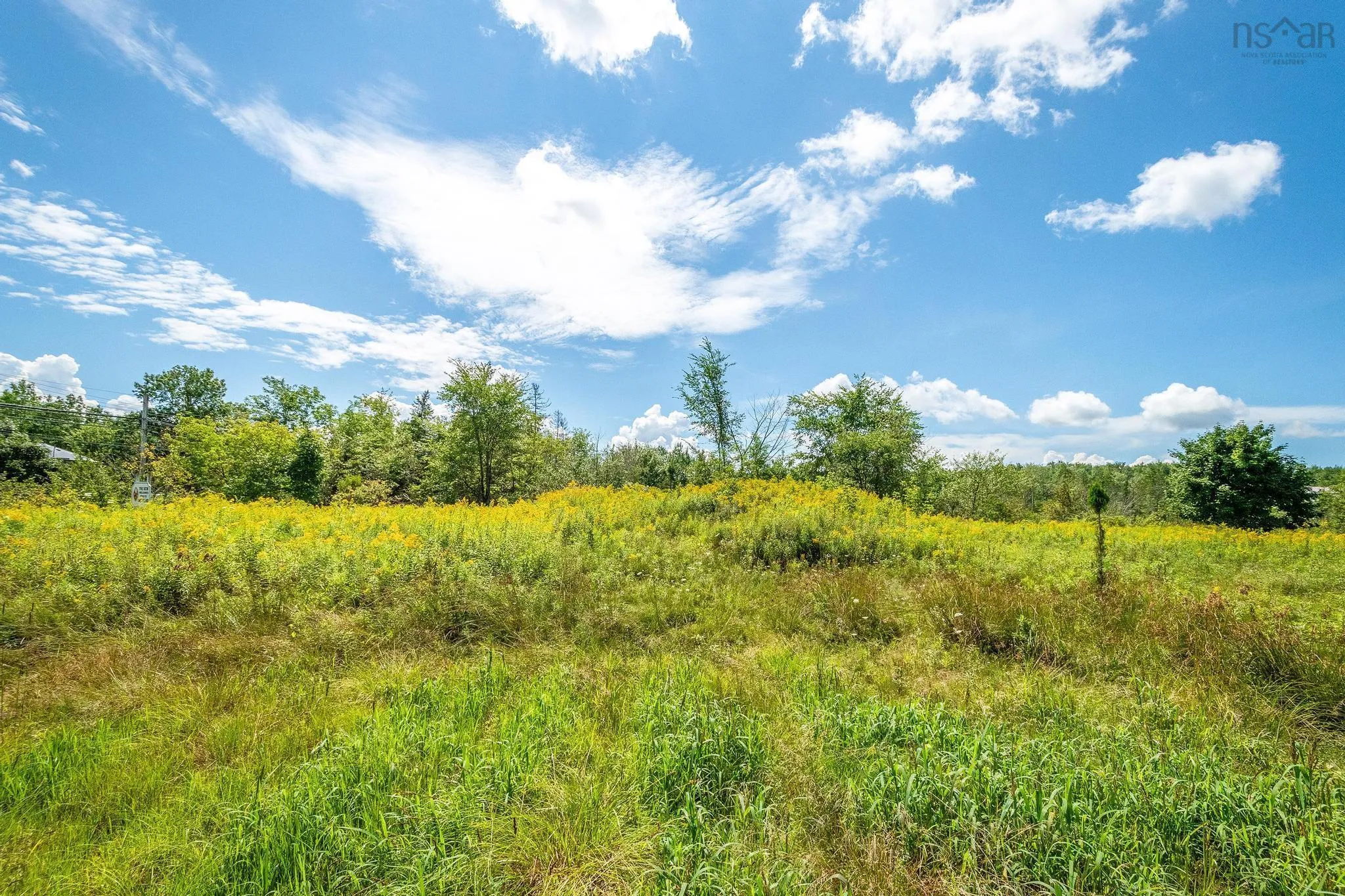 2316 Highway 2, Milford Ns B0n 1y0, ,Land,For Sale,Highway 2,202419759