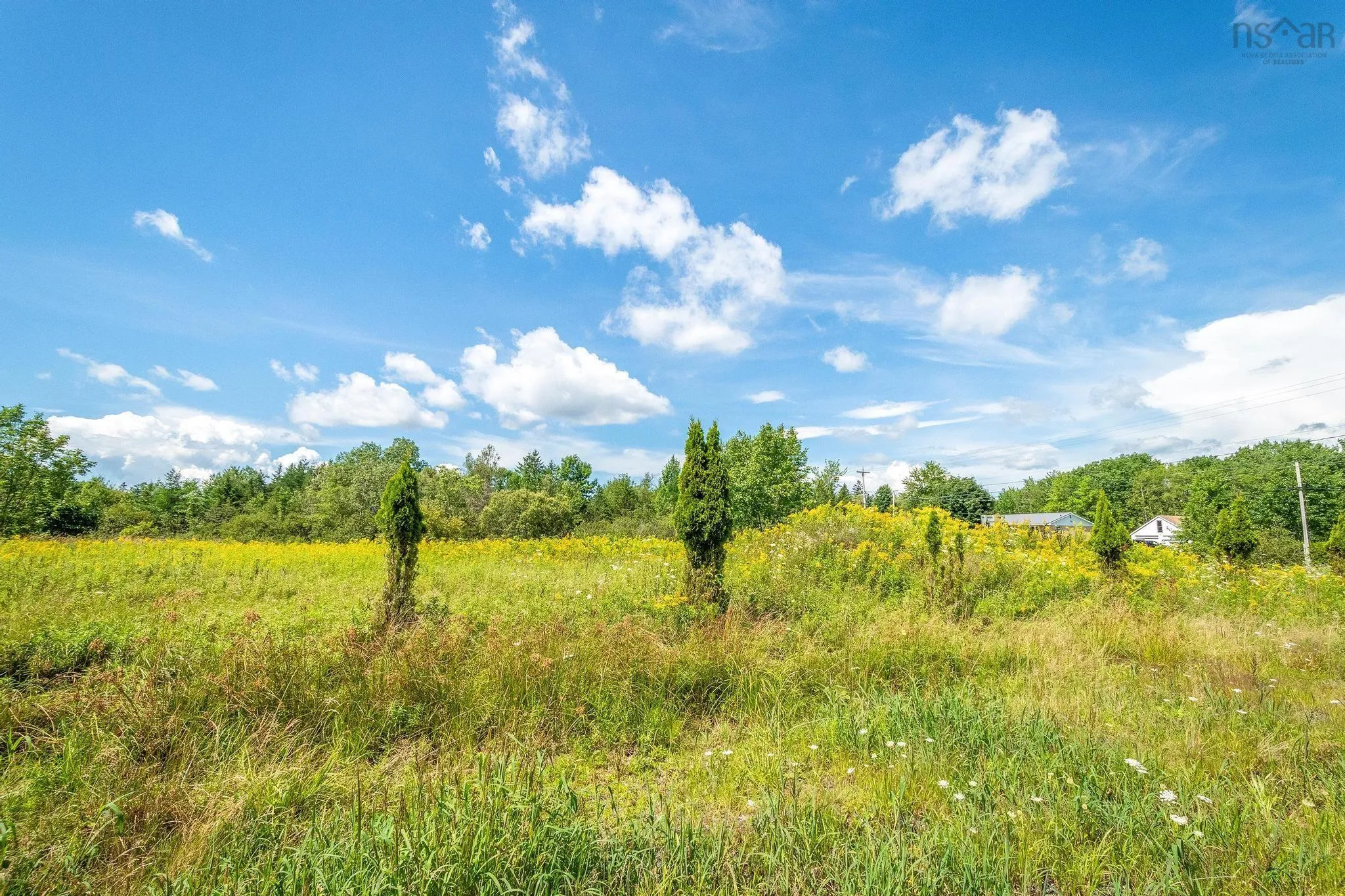 2316 Highway 2, Milford Ns B0n 1y0, ,Land,For Sale,Highway 2,202419759