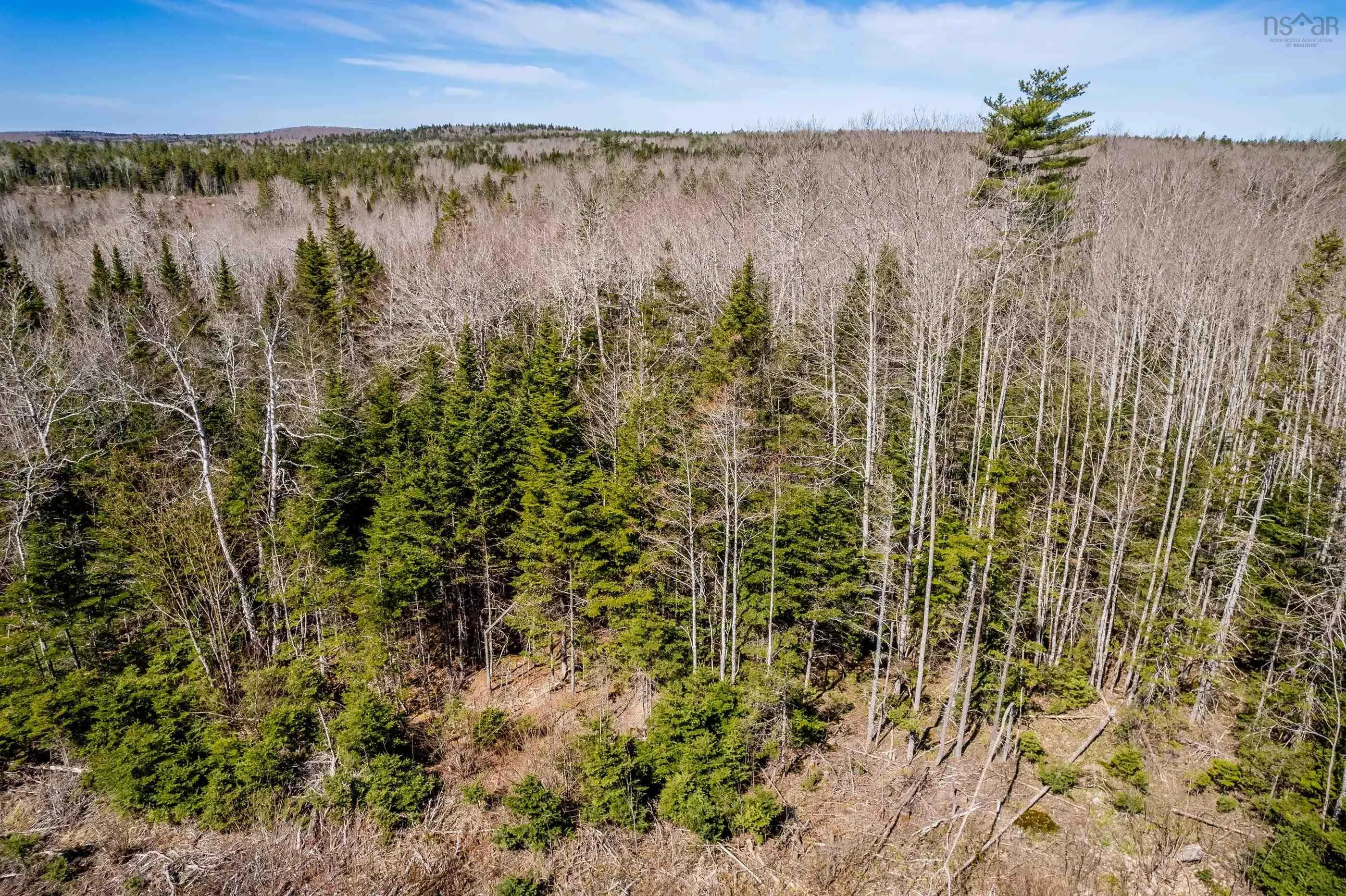 Aylesford Road Lot A, Lake Paul, NS B0P 1C0, ,Land,For Sale,Aylesford,202512766