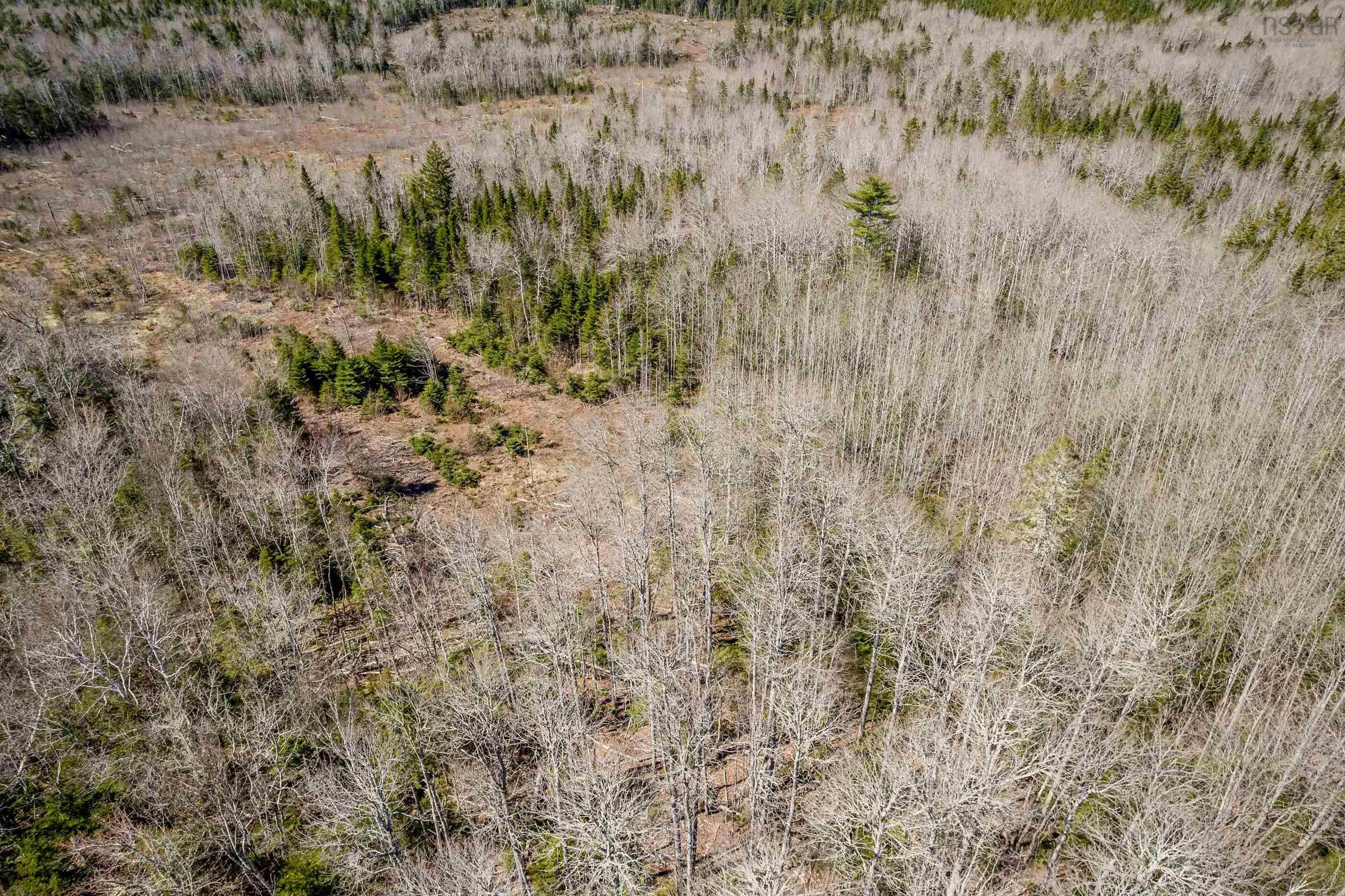 Aylesford Road Lot A, Lake Paul, NS B0P 1C0, ,Land,For Sale,Aylesford,202512766
