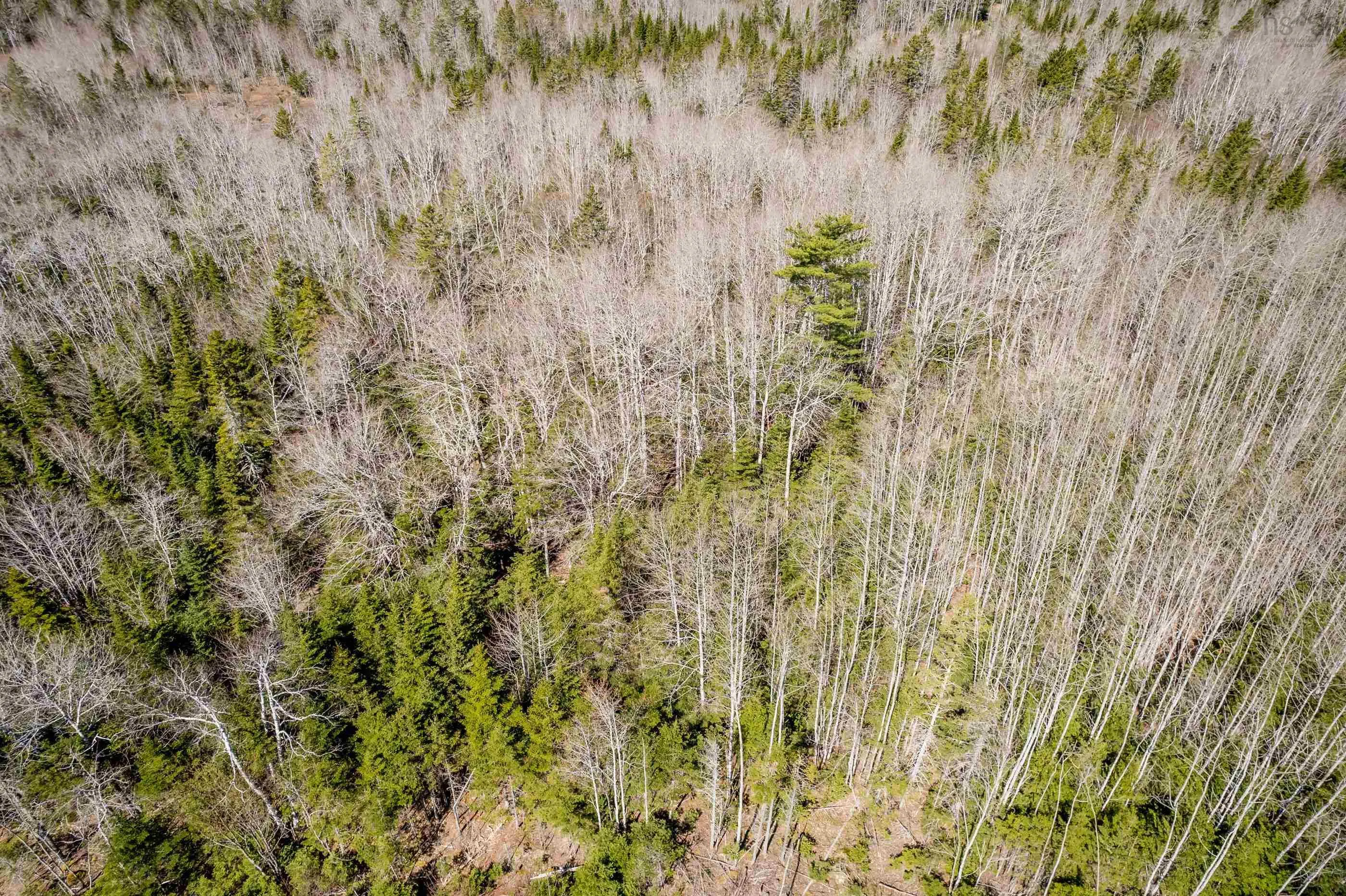 Aylesford Road Lot A, Lake Paul, NS B0P 1C0, ,Land,For Sale,Aylesford,202512766