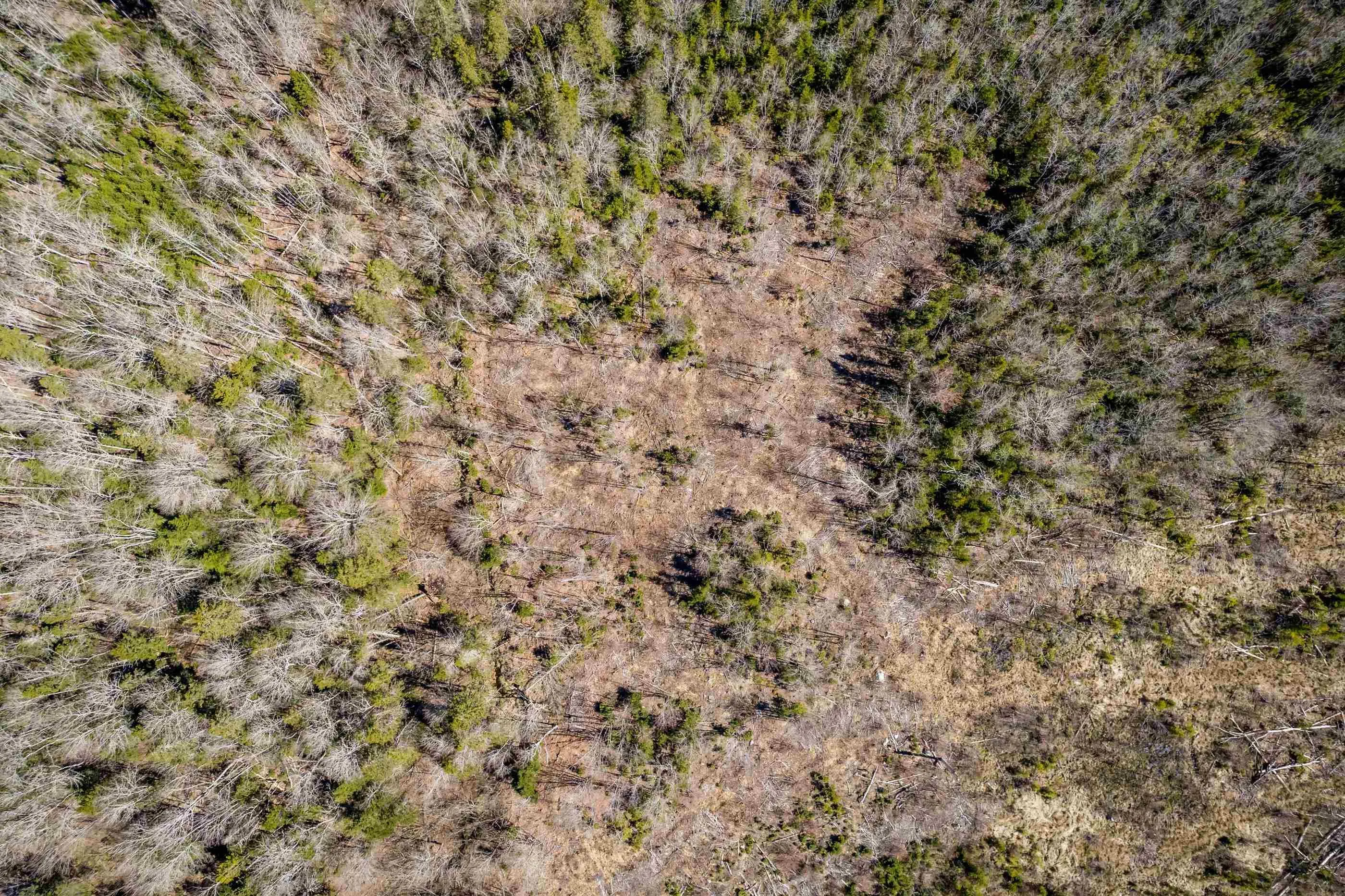 Aylesford Road Lot A, Lake Paul, NS B0P 1C0, ,Land,For Sale,Aylesford,202512766