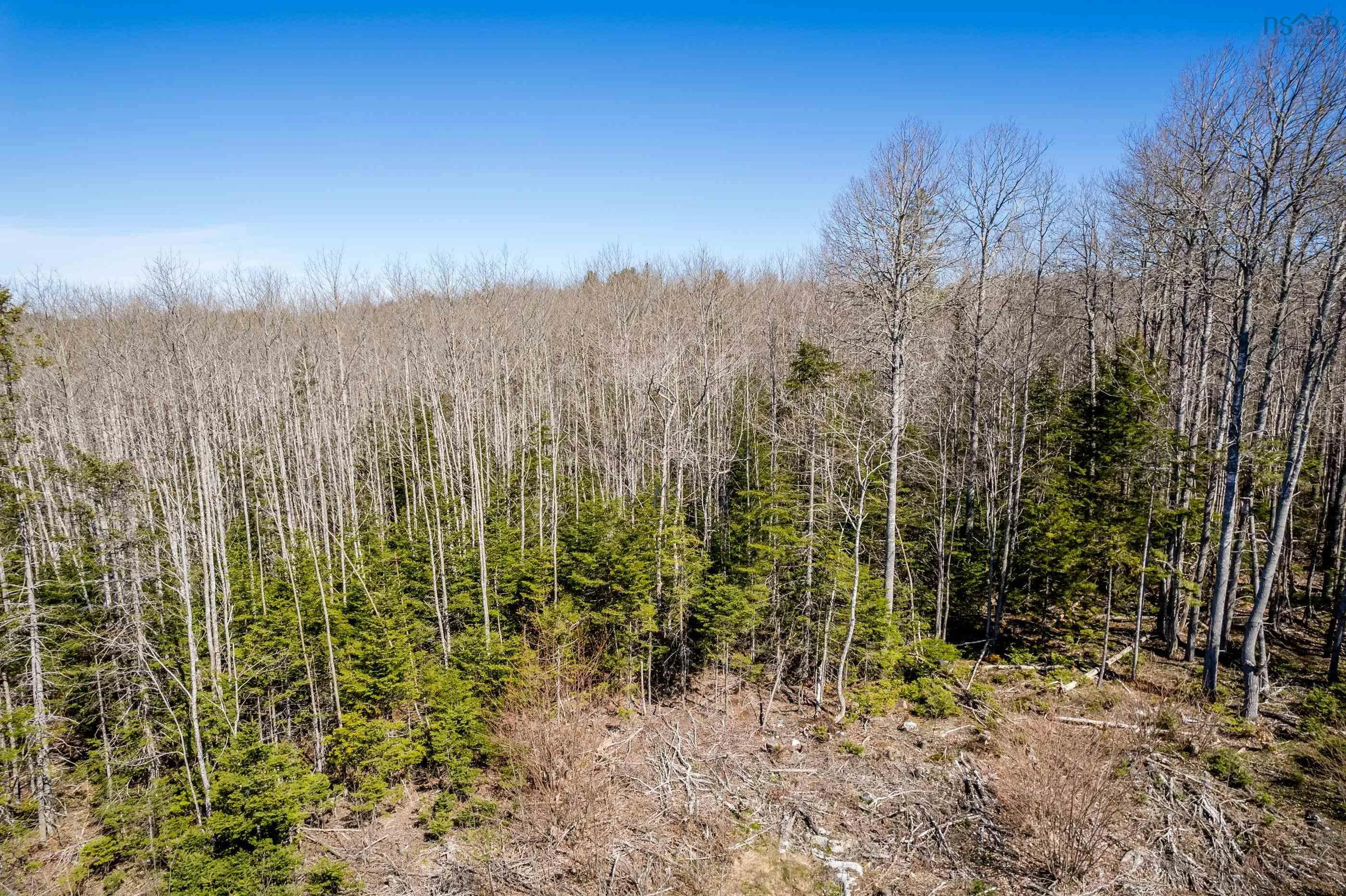 Aylesford Road Lot A, Lake Paul, NS B0P 1C0, ,Land,For Sale,Aylesford,202512766