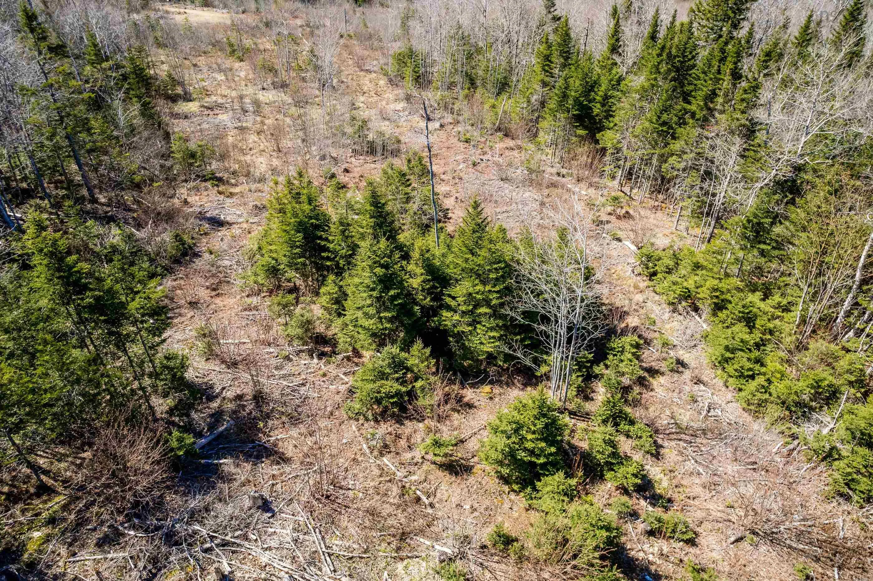 Aylesford Road Lot A, Lake Paul, NS B0P 1C0, ,Land,For Sale,Aylesford,202512766