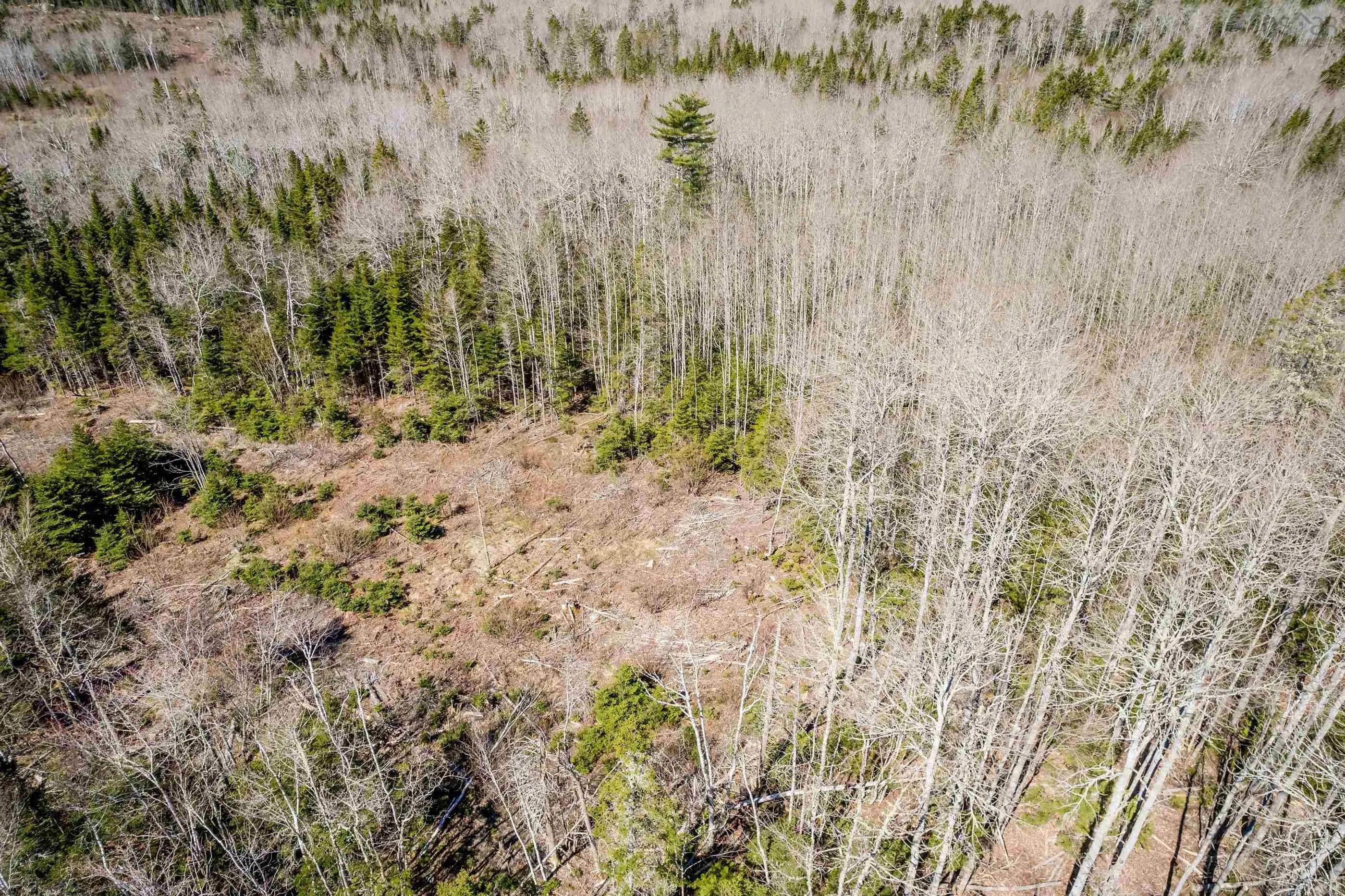 Aylesford Road Lot A, Lake Paul, NS B0P 1C0, ,Land,For Sale,Aylesford,202512766